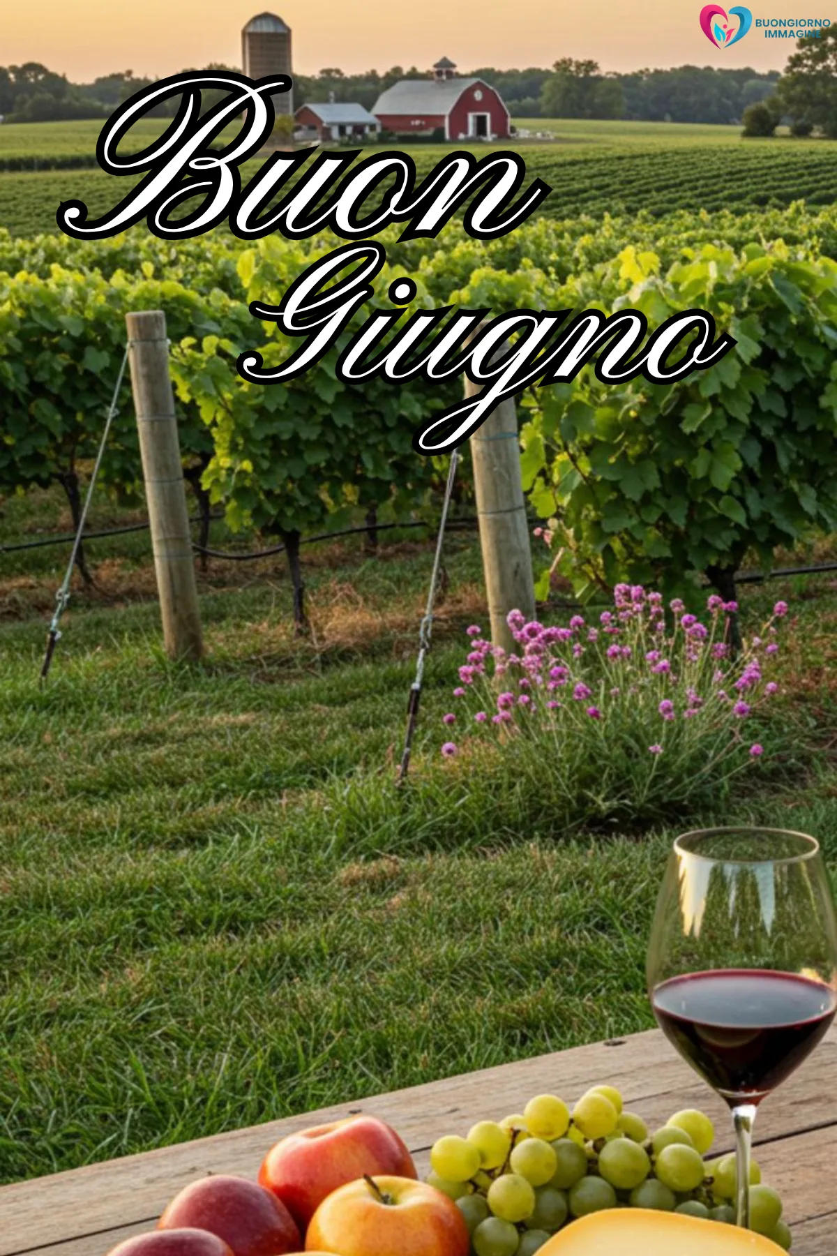 buon sabato di giugno immagini con bouquet di rose fresche