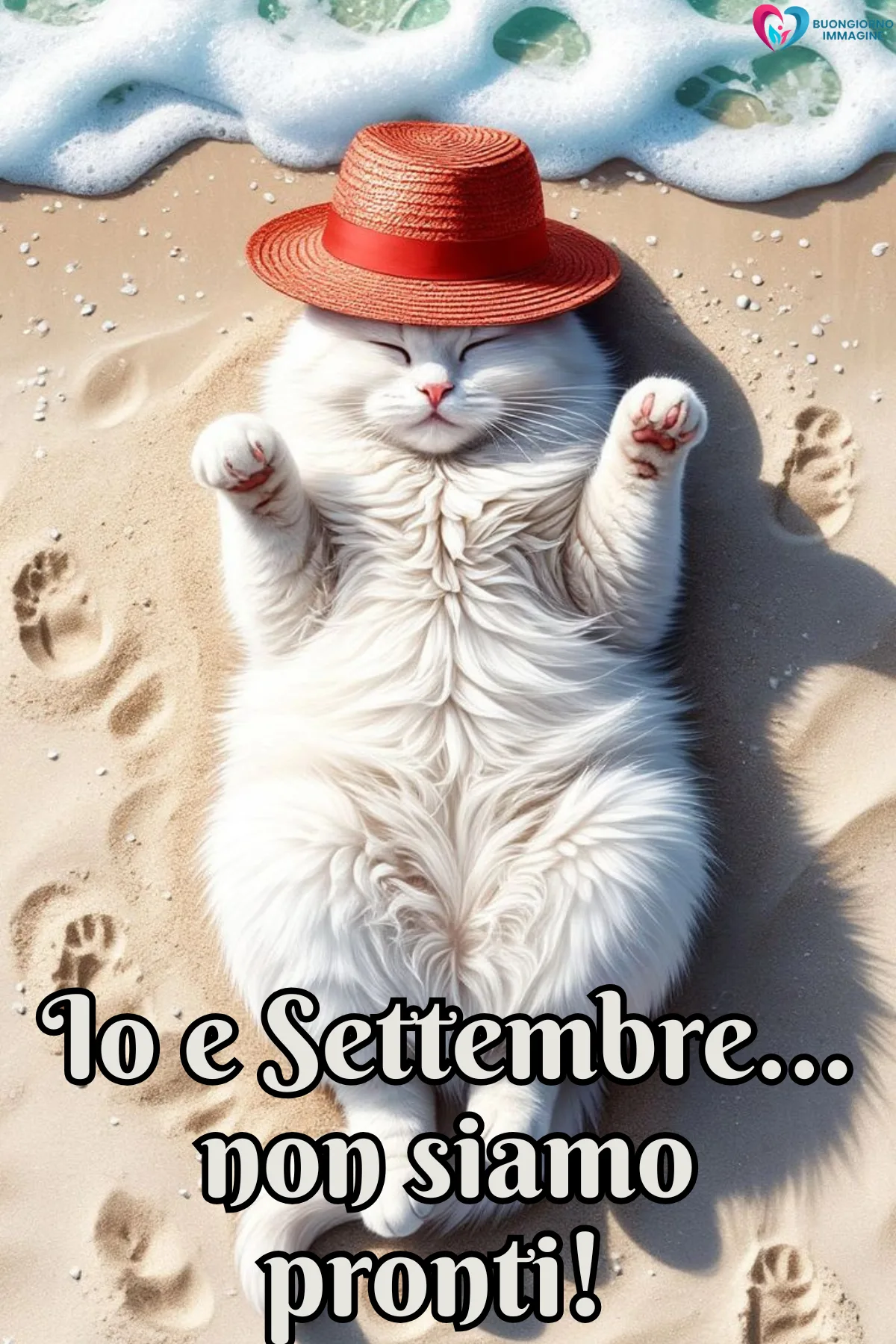 buon settembre simpatico - gatto bianco in spiaggia con cappello rosso rilassatissimo - immagini nuove gratis per WhatsApp