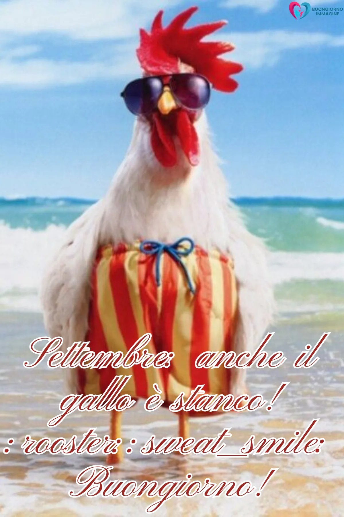 gallo in costume da bagno con occhiali da sole fichissimo - buongiornoimmagine.it - settembre 2026