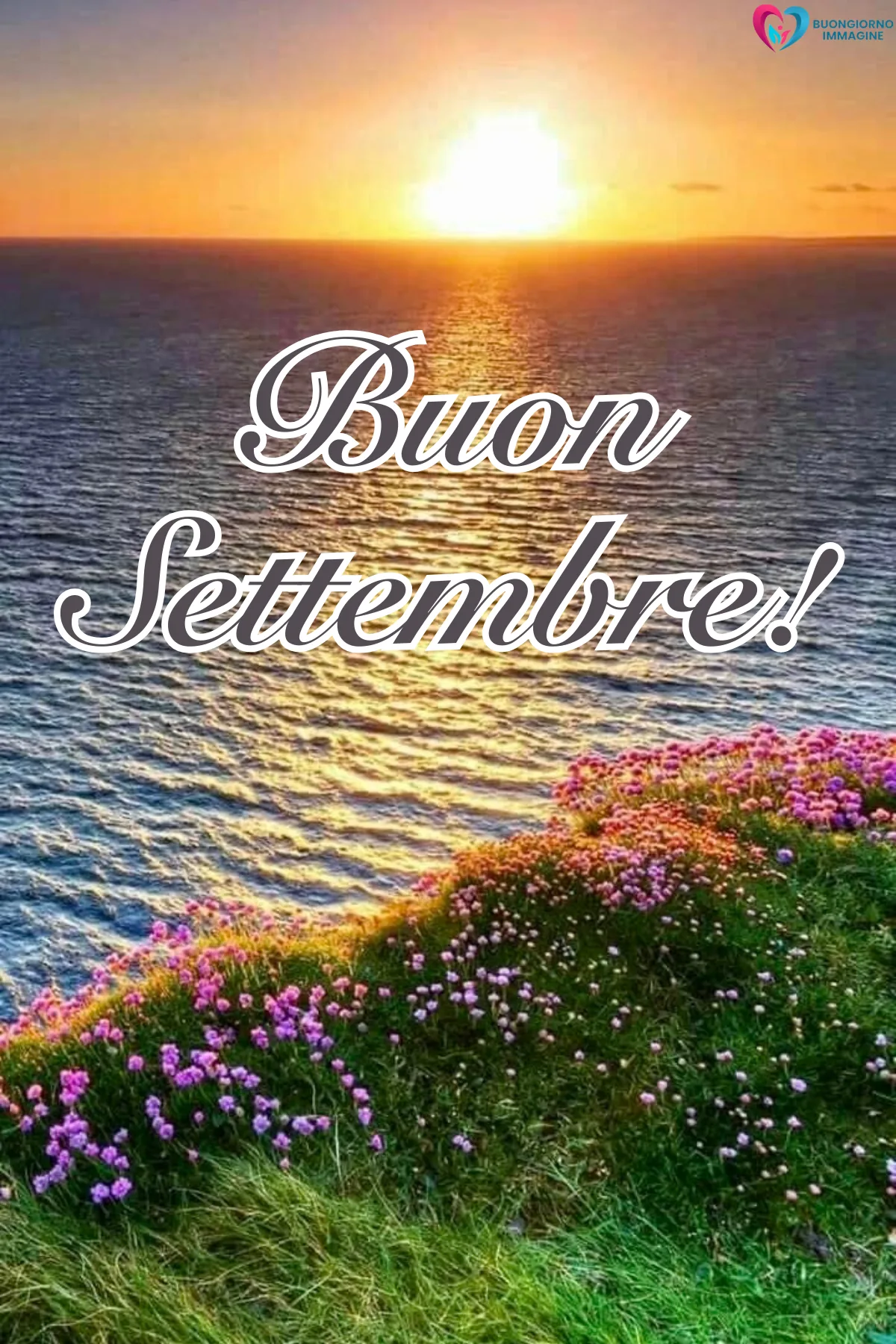 immagini buon settembre simpatico - fiori colorati salutano settembre con - immagini nuove gratis per WhatsApp