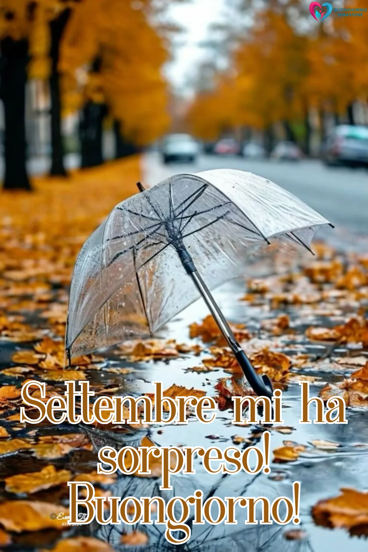 ombrello trasparente abbandonato nella pioggia tra foglie autunnali - buongiornoimmagine.it - settembre 2026