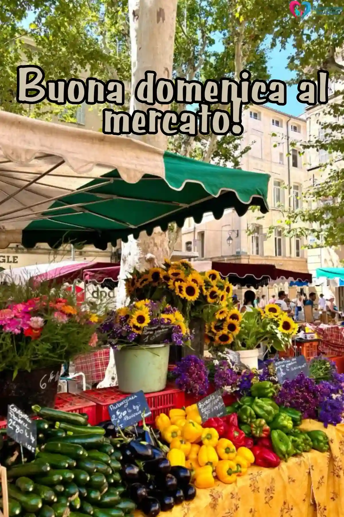 auguri buon primo giugno gatto assonnato e cuscini (compresso)