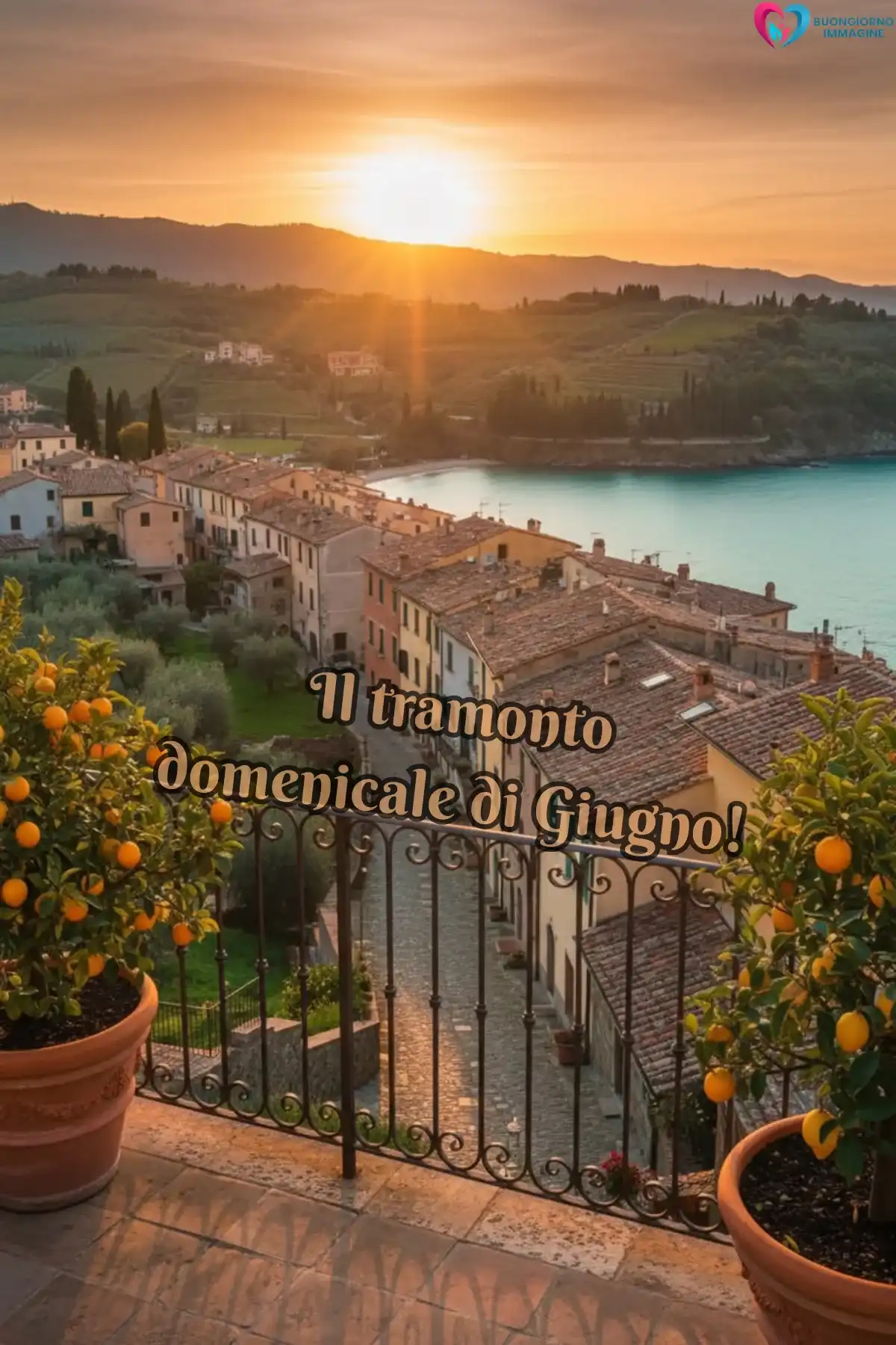 messaggio WhatsApp primo giugno gatto assonnato e cuscini (compresso)