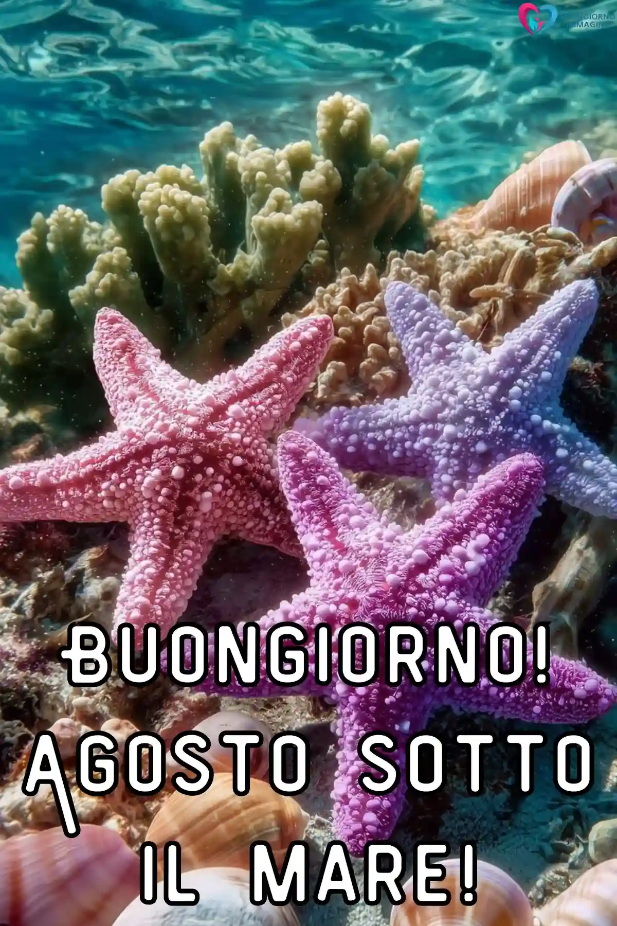 immagine buongiorno agosto estate 3 (compresso)