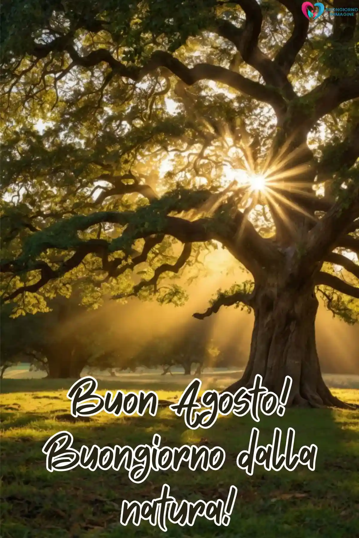 immagine buongiorno agosto estate 4 (compresso)