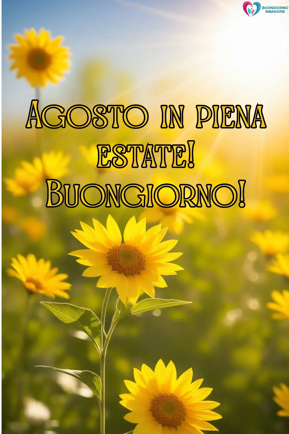 immagine buongiorno agosto estate 5 (compresso)