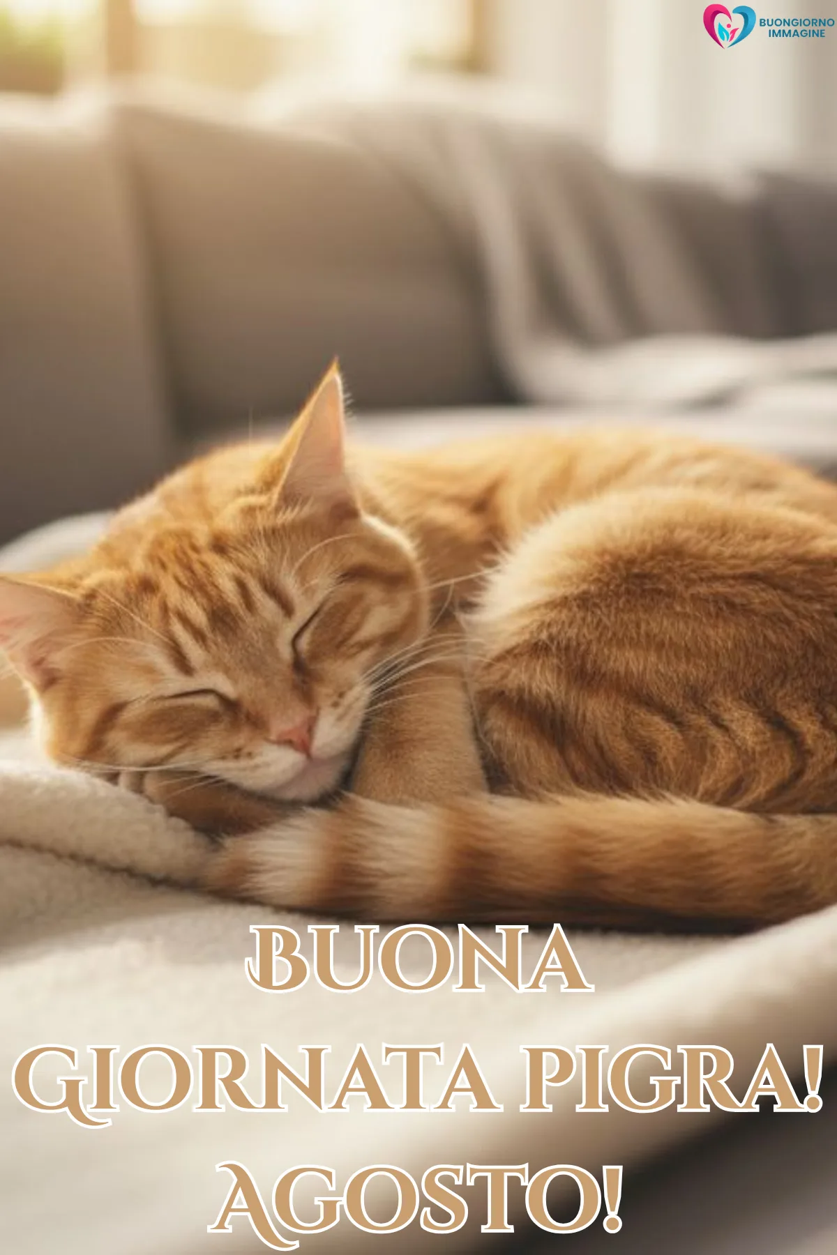 immagine buongiorno agosto estate 11