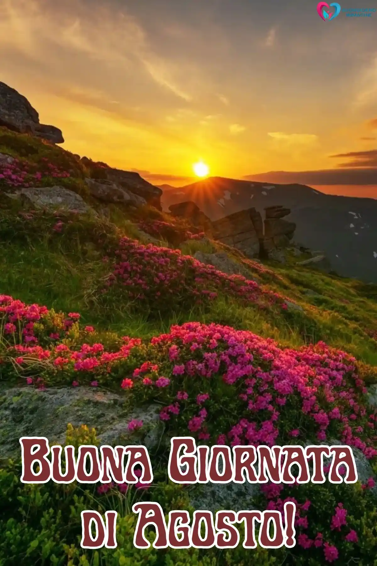 immagine buongiorno agosto estate 15 (compresso)