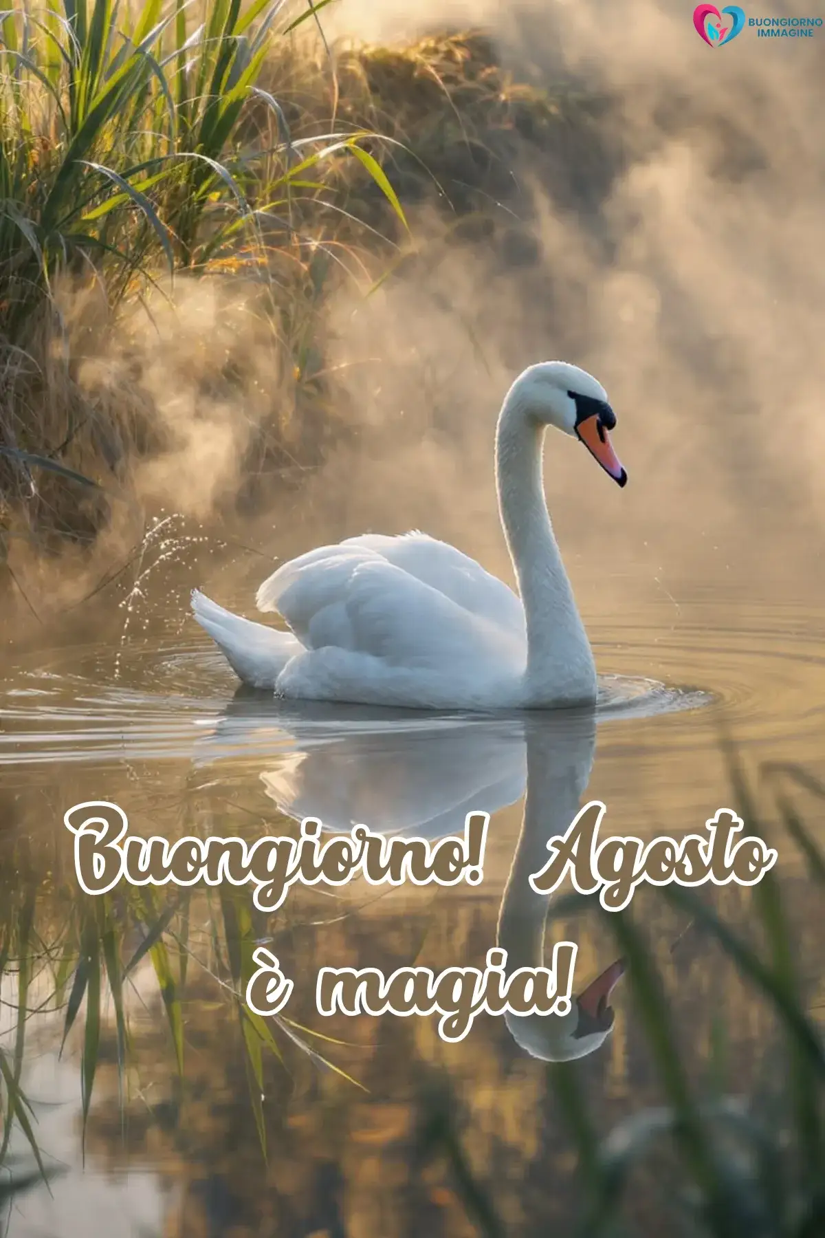 immagine buongiorno agosto estate 17 (compresso)