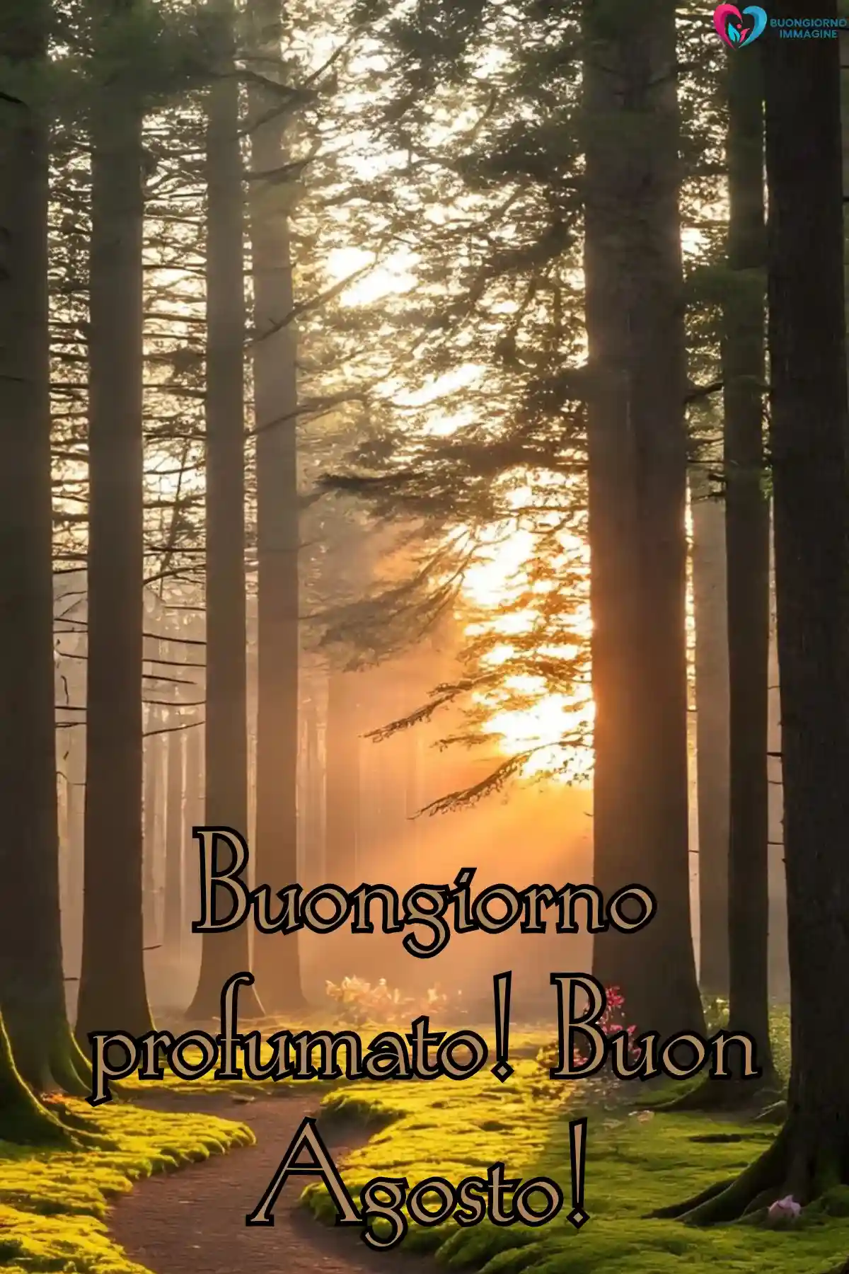 immagine buongiorno agosto estate 18 (compresso)