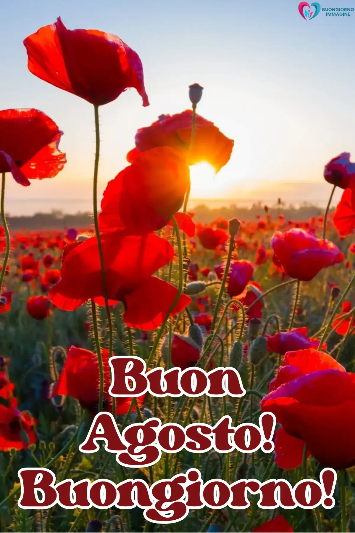 immagine buongiorno agosto 7 (compresso)