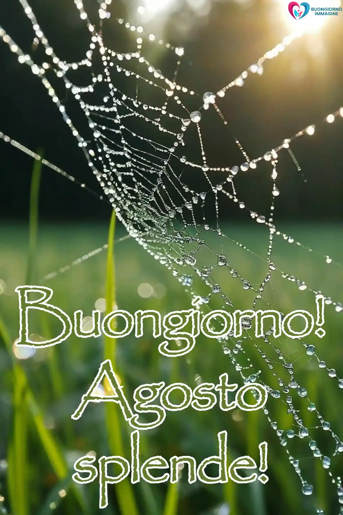 immagine buongiorno agosto 14 (compresso)
