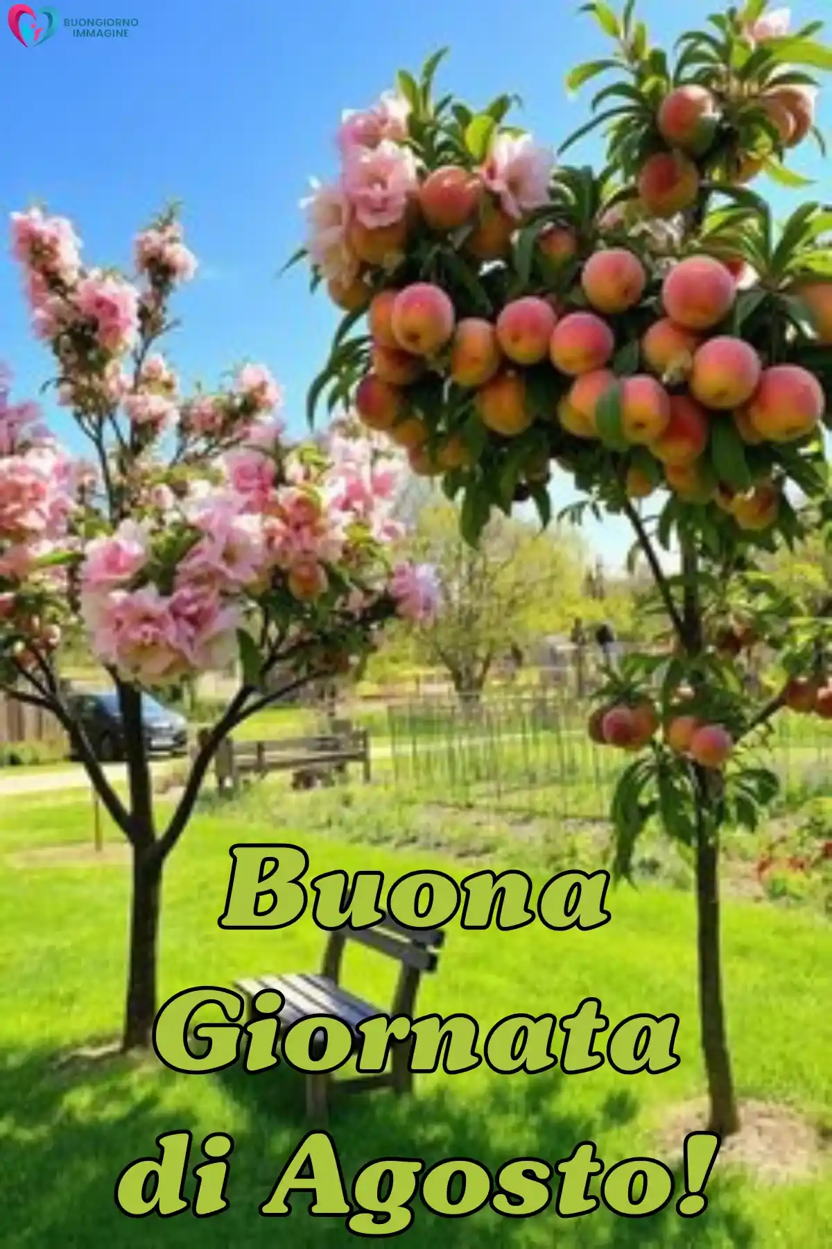 immagine buongiorno agosto 15 (compresso)