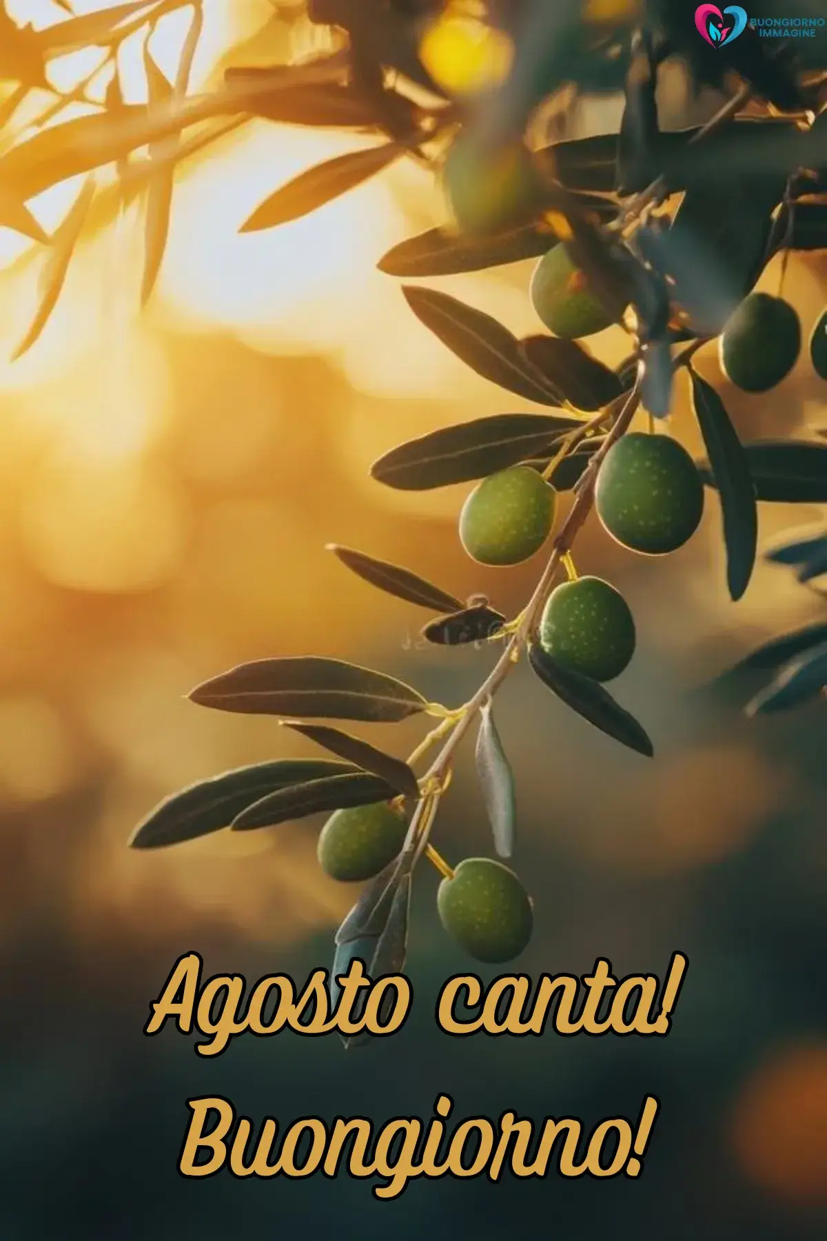 immagine buongiorno agosto 18 (compresso)