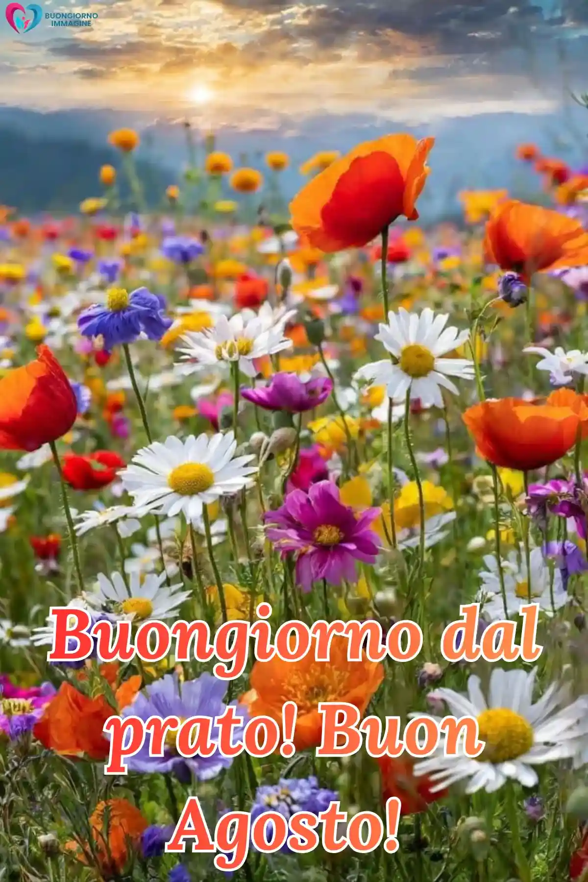 immagine buongiorno agosto 24 (compresso)