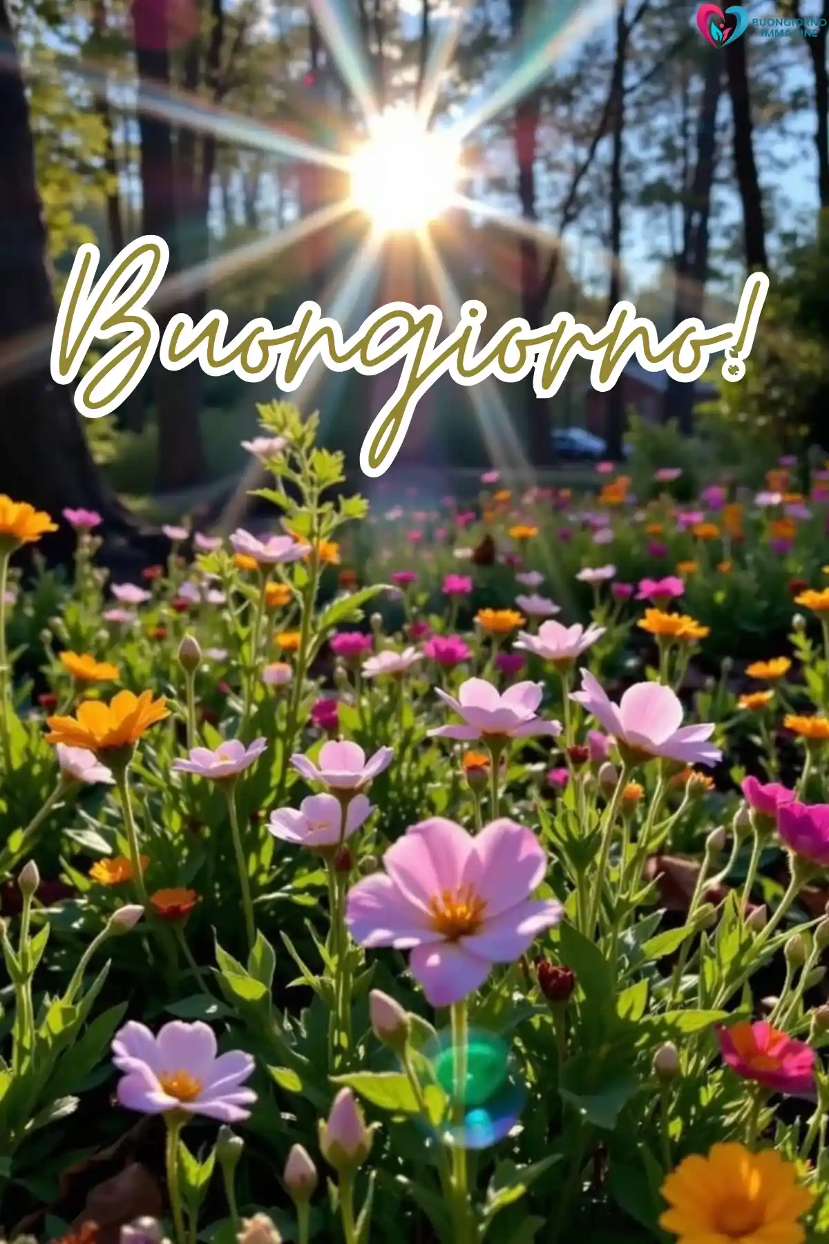 immagine buongiorno agosto 25 (compresso)
