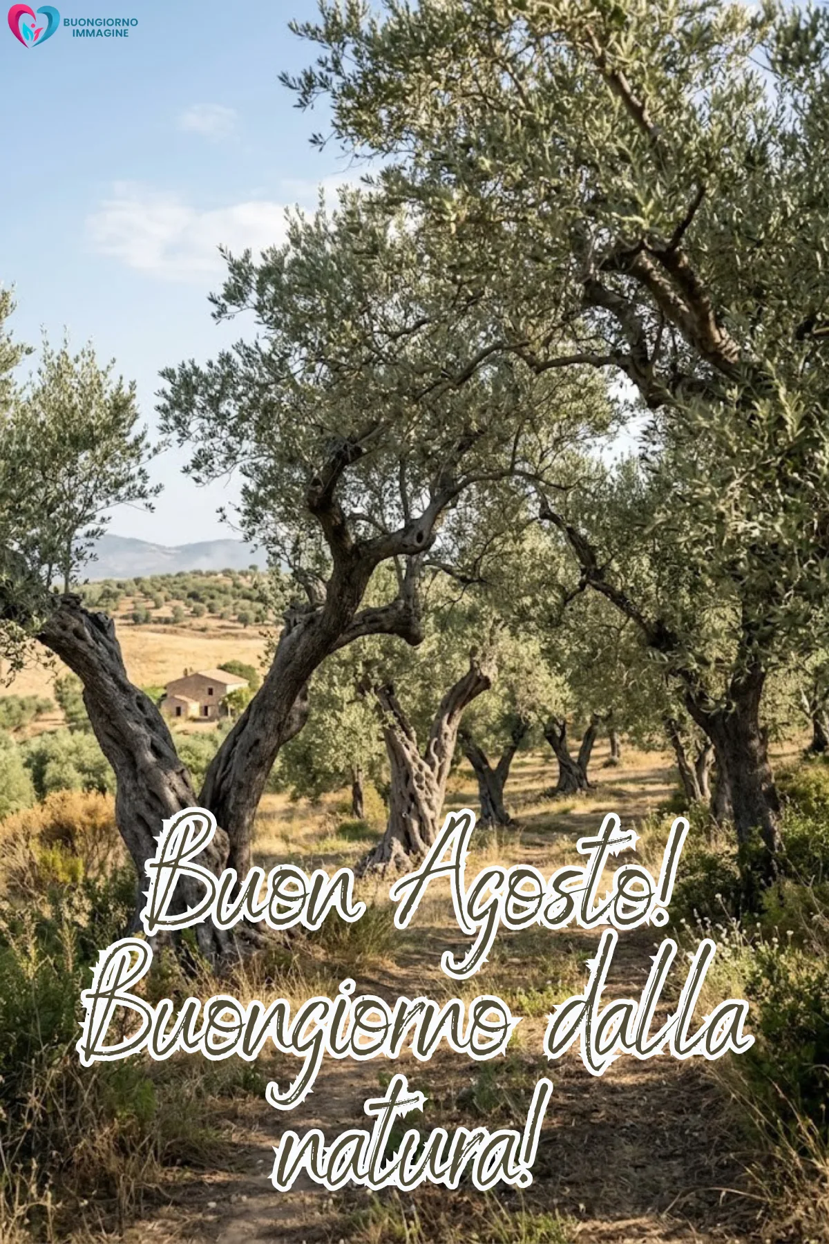 immagine buongiorno agosto 41
