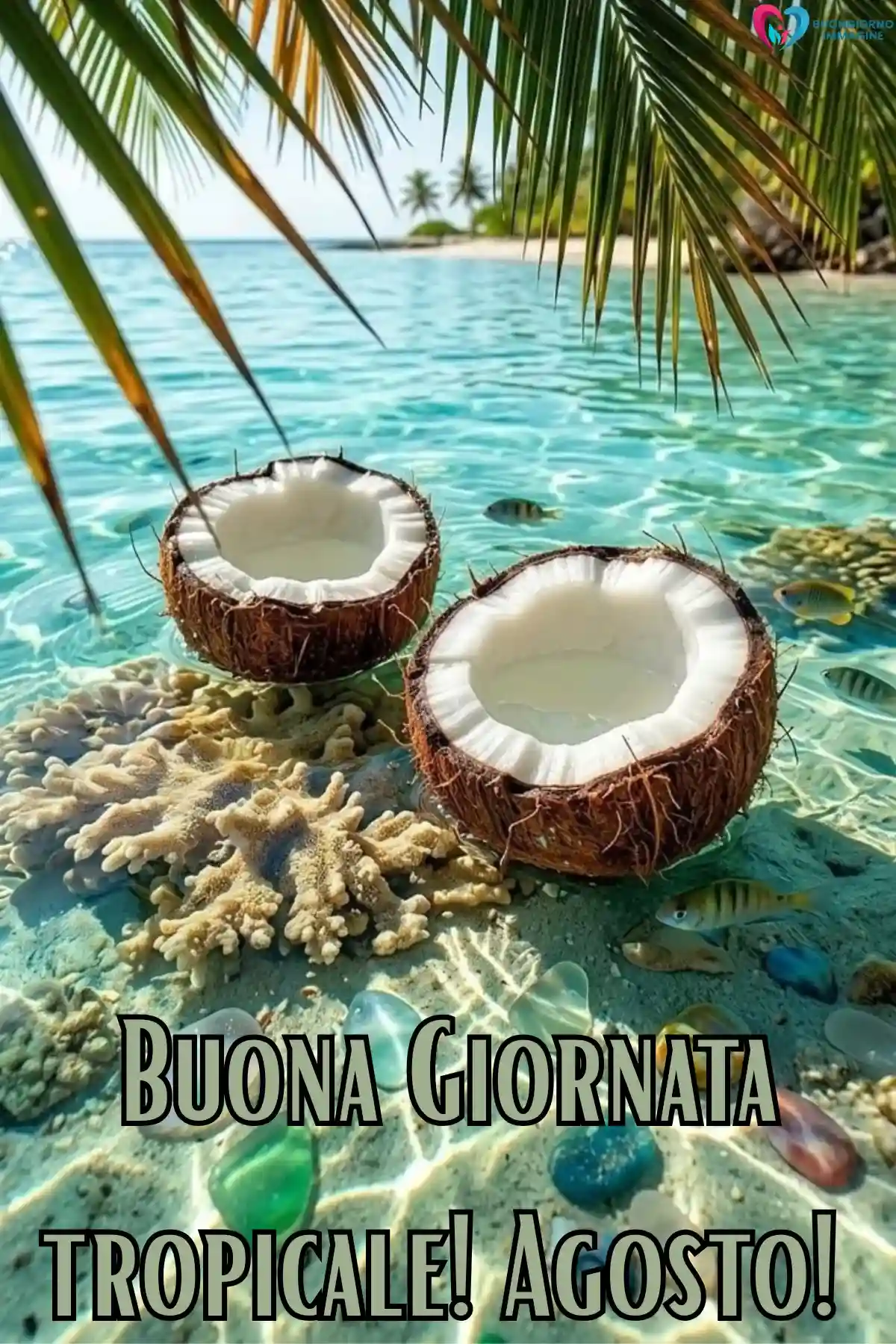 immagine buongiorno agosto 42 (compresso)