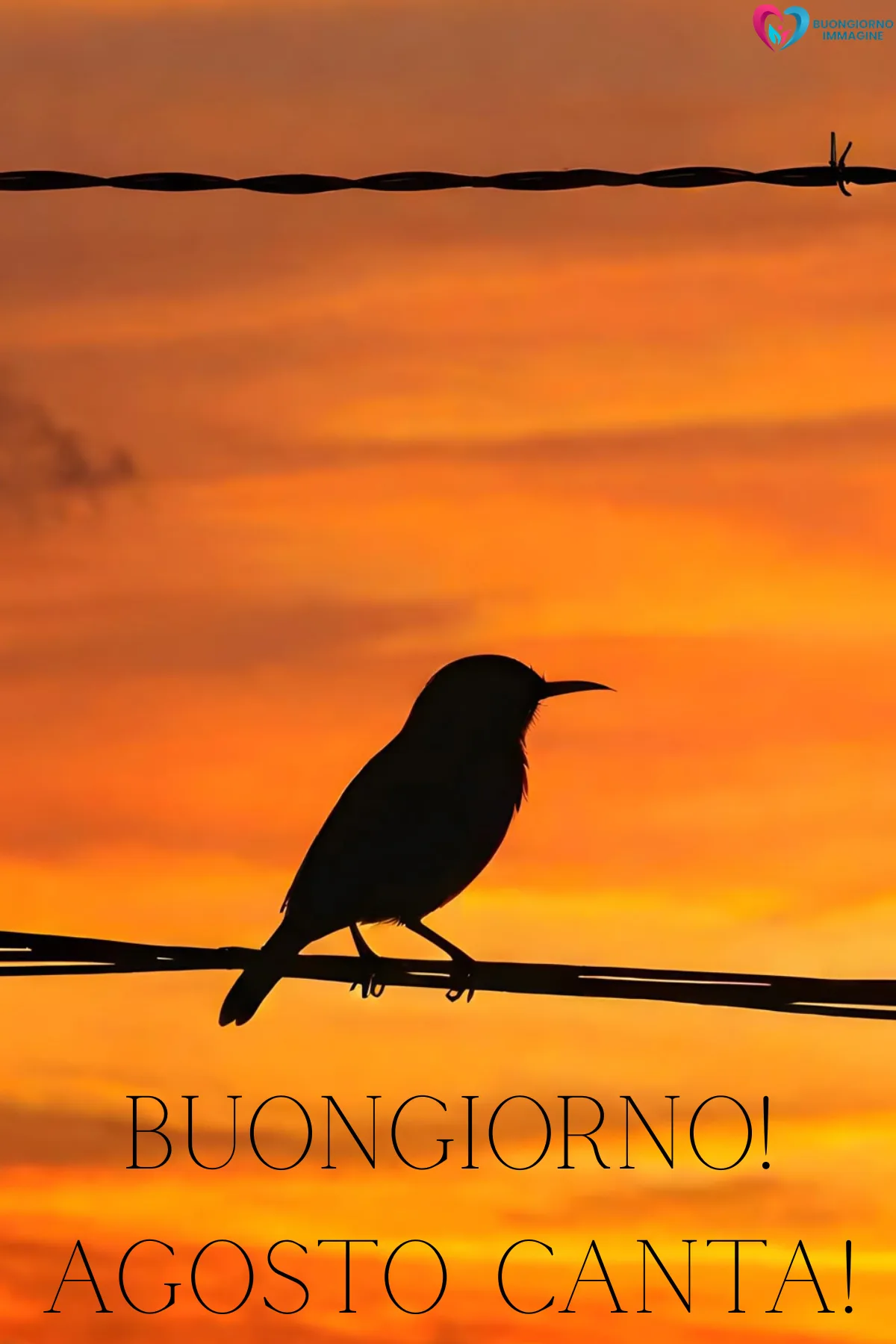 immagine buongiorno agosto 45