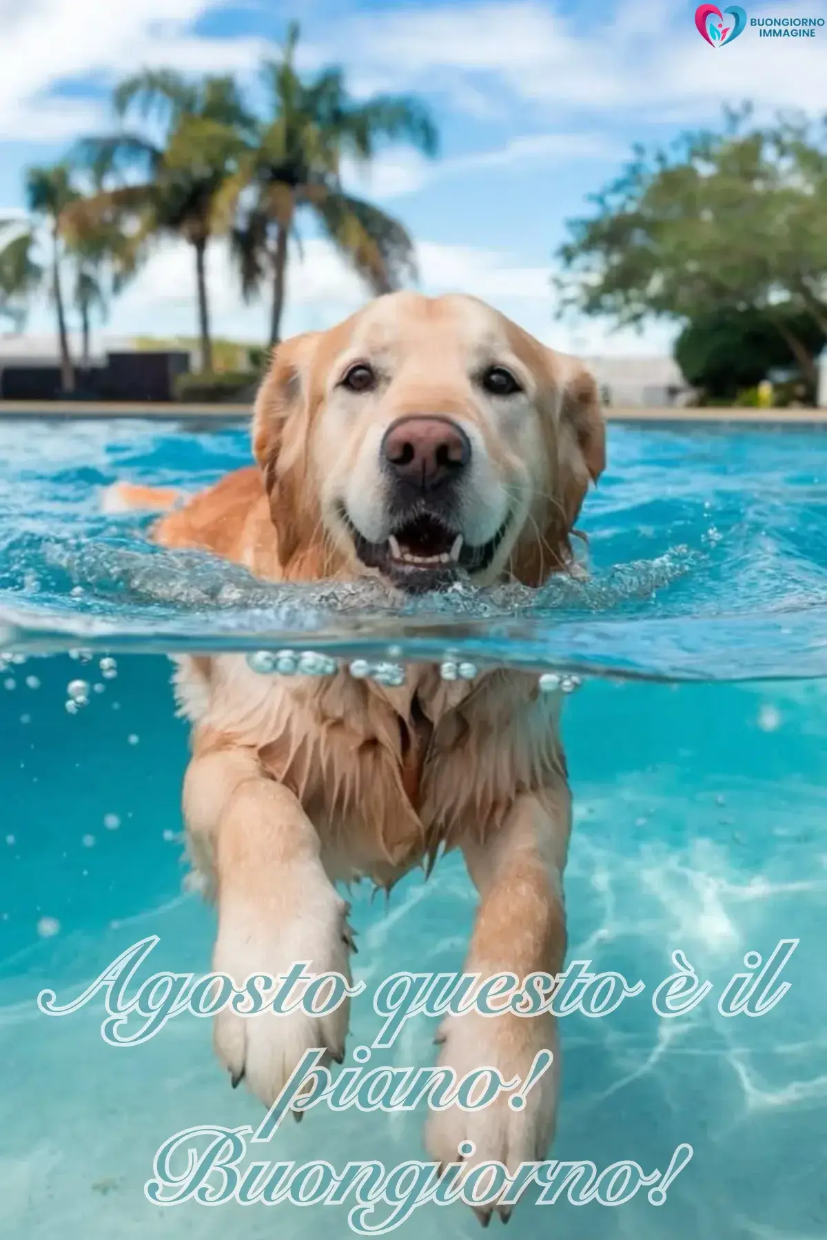 immagine buon agosto simpatico 15 (compresso)
