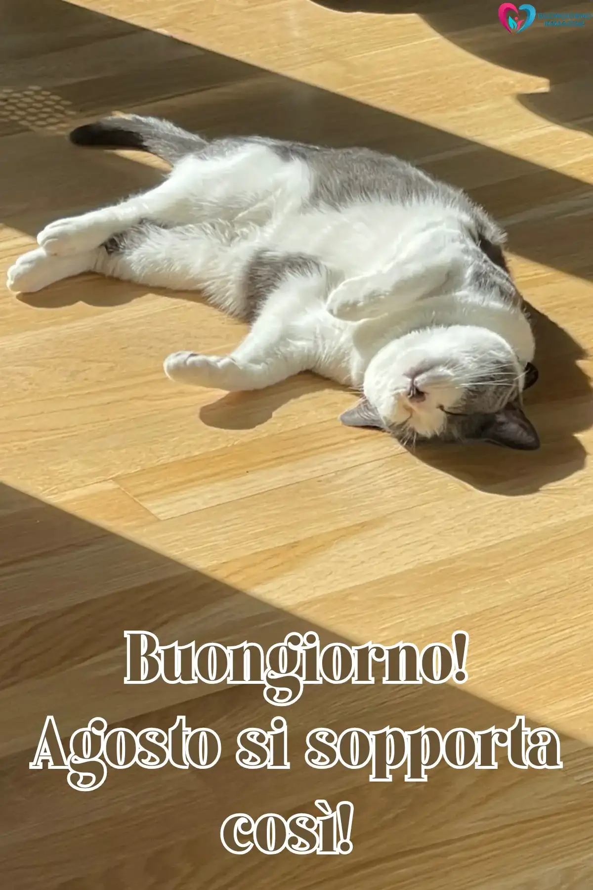 immagine buon agosto simpatico 18 (compresso)