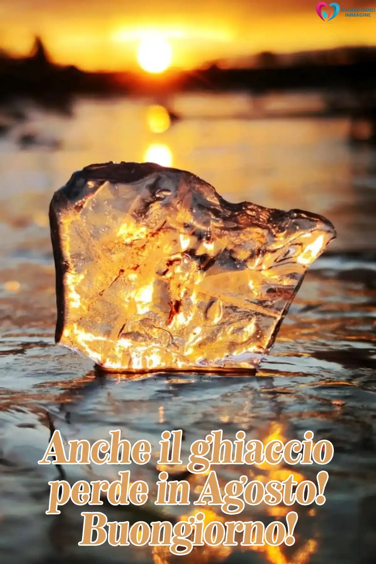 immagine buon agosto simpatico 20 (compresso)