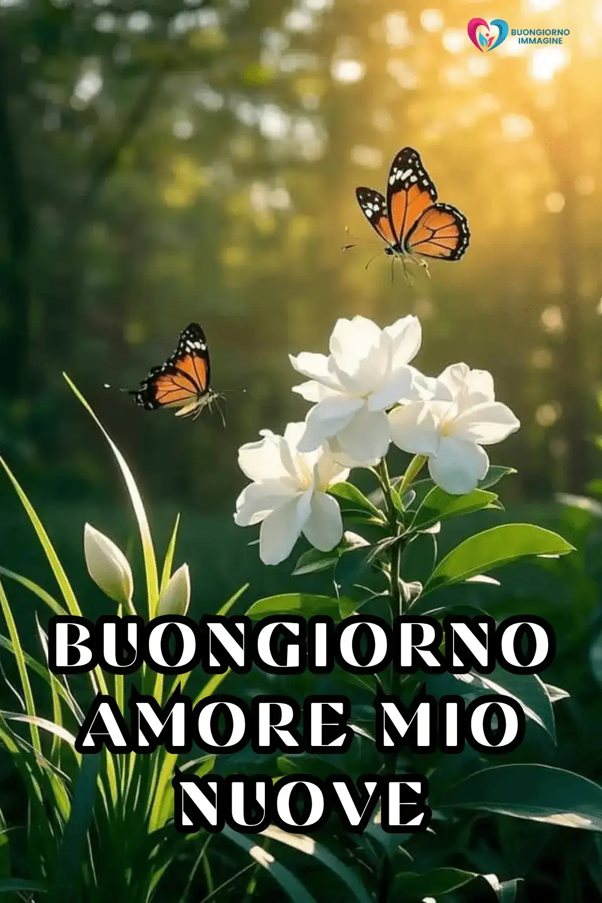 buongiorno amore originale 26