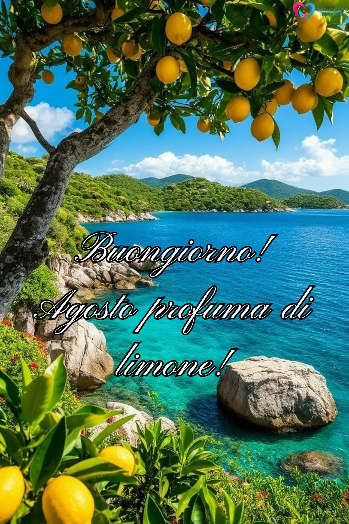 immagine buongiorno 1 agosto 14