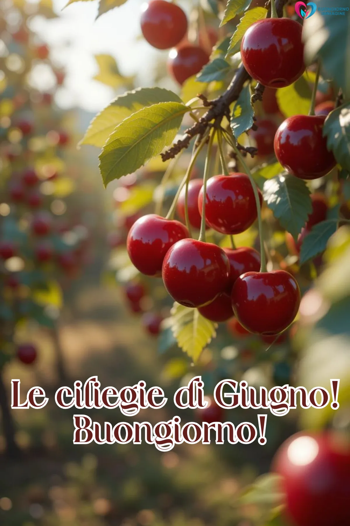buongiorno benvenuto giugno immagini con gatto assonnato e cuscini
