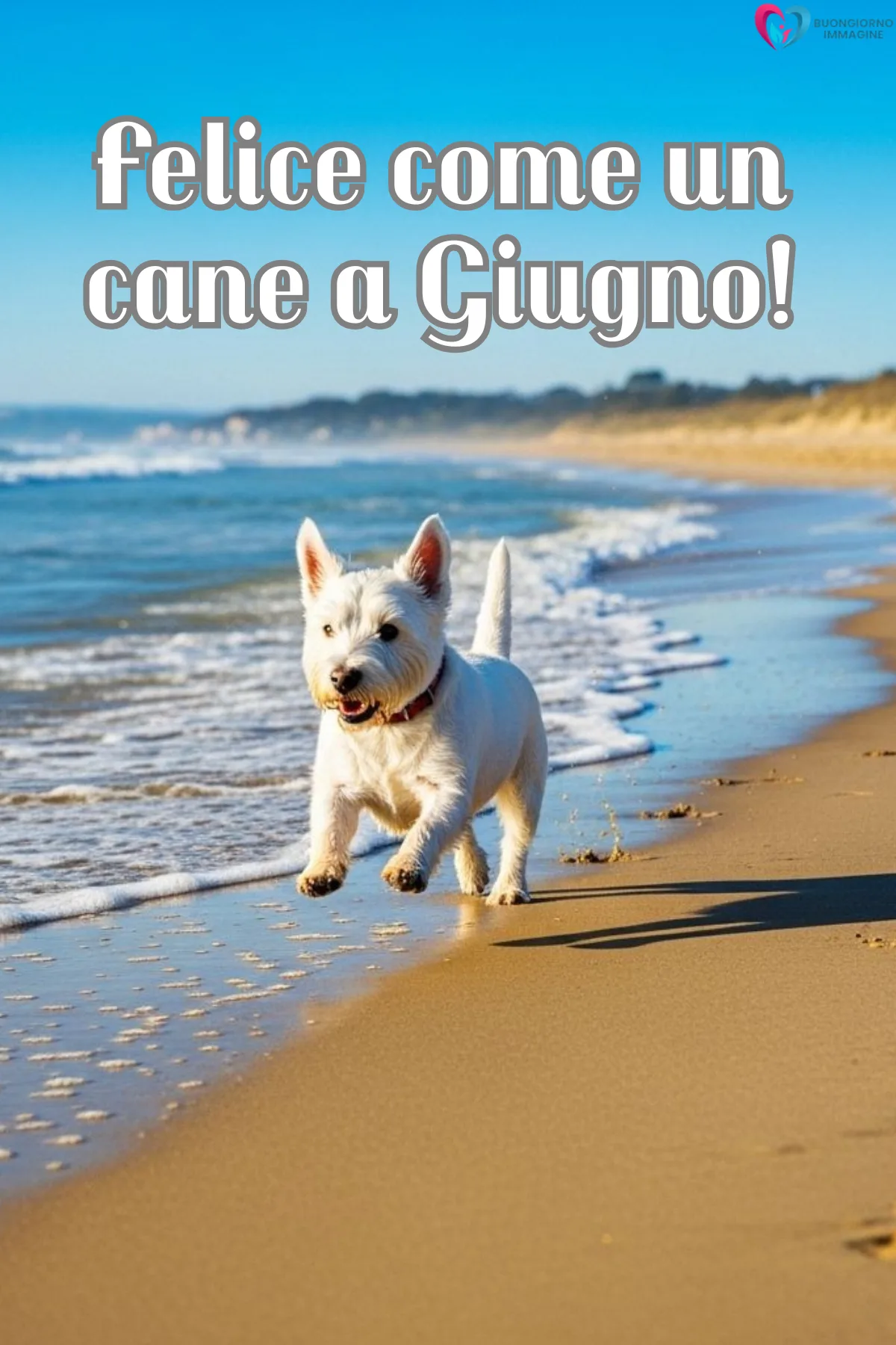 buongiorno benvenuto giugno immagini con cielo azzurro e nuvole rosa