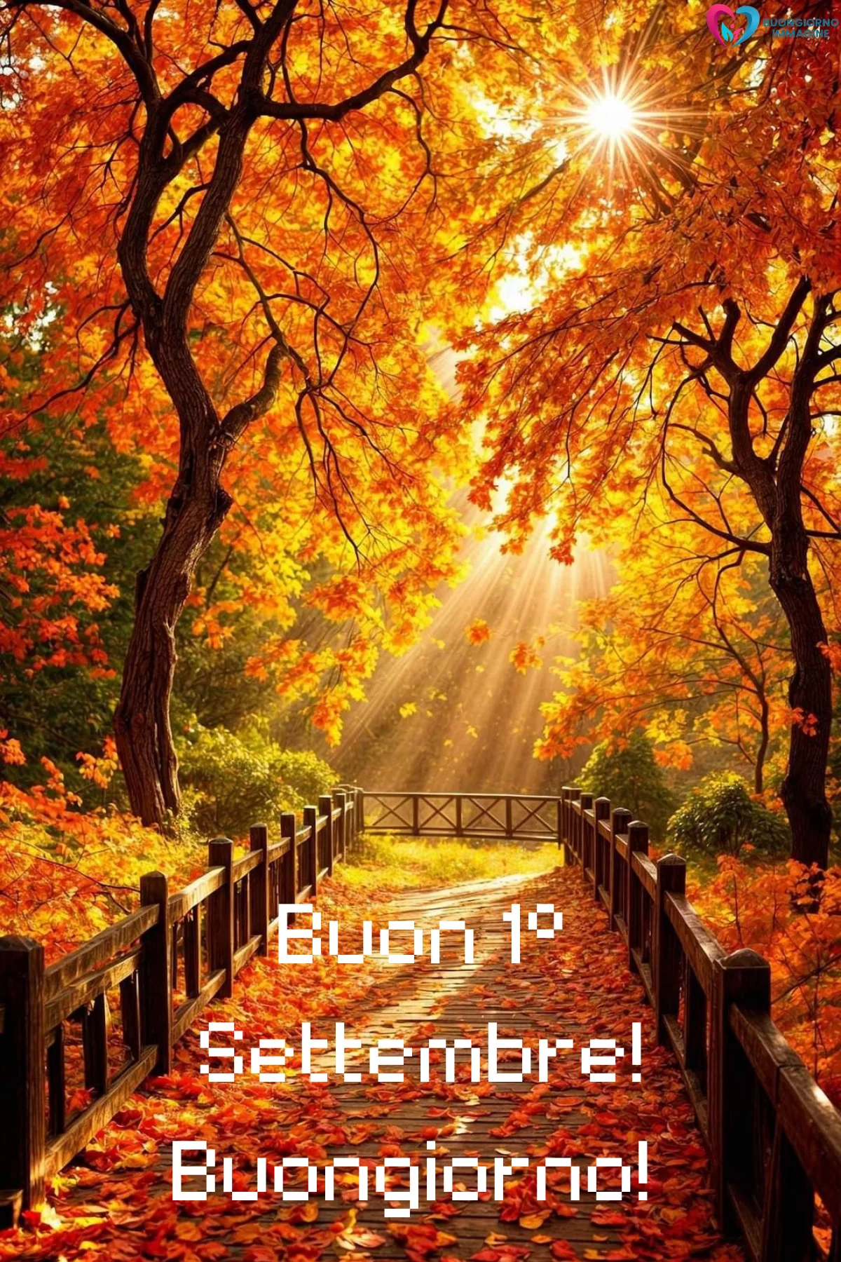 Buongiorno settembre — ponte autunnale soleggiato con foglie arancioni e raggi luminosi - buongiornoimmagine.it - settembre 2026