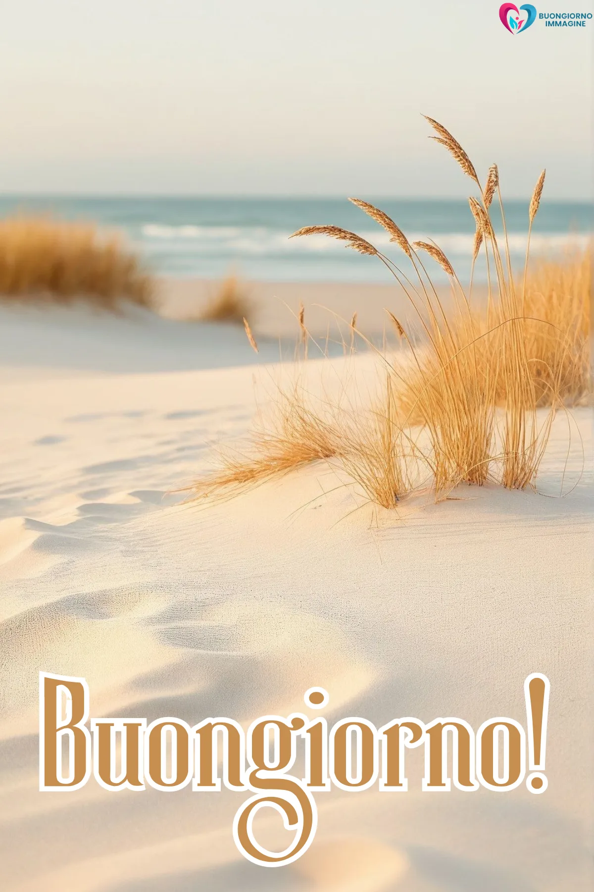Buongiorno settembre — dune di sabbia bianca con erbe secche e mare - buongiornoimmagine.it - settembre 2026