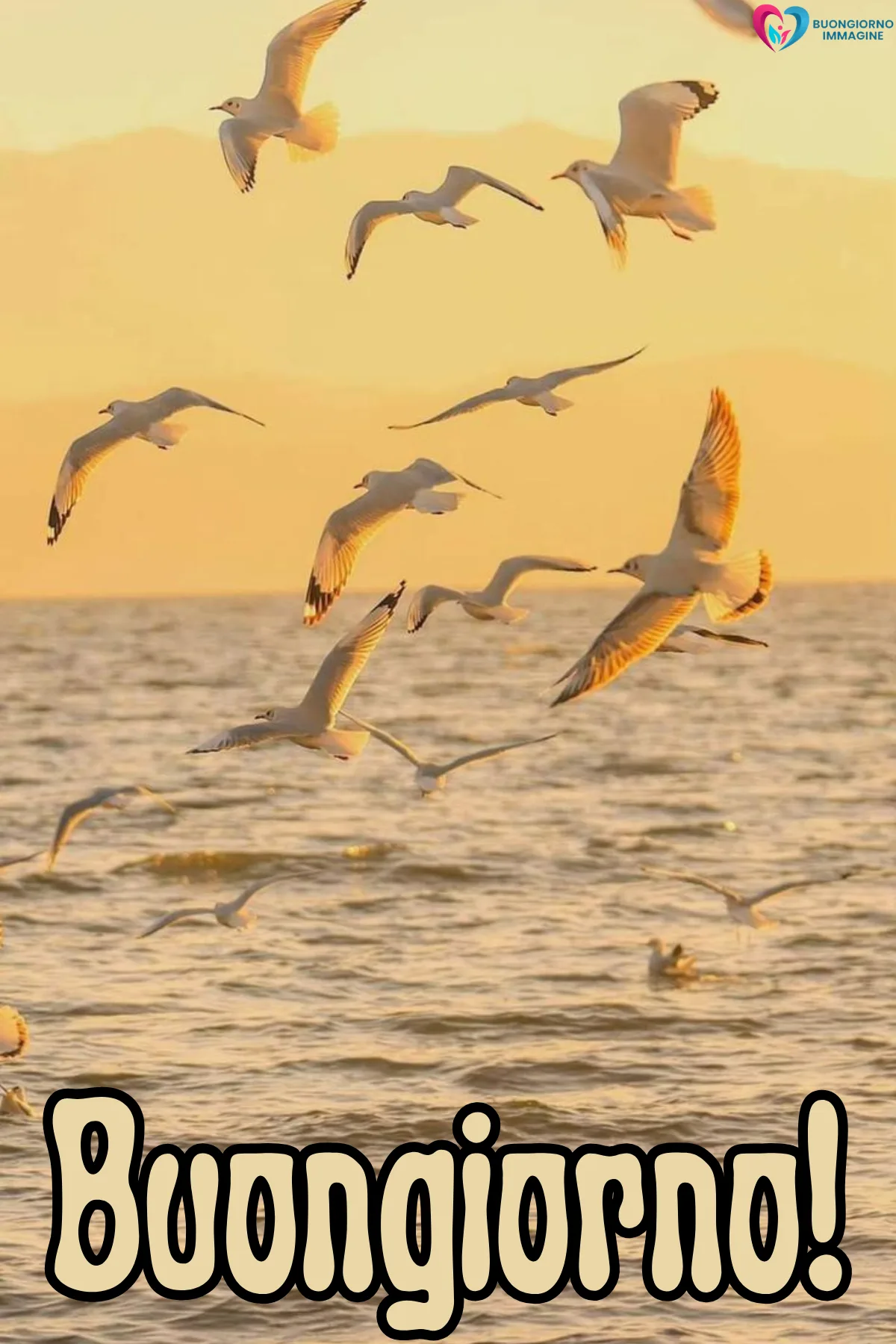 Buongiorno settembre — gabbiani bianchi in volo sul mare al tramonto dorato - buongiornoimmagine.it - settembre 2026