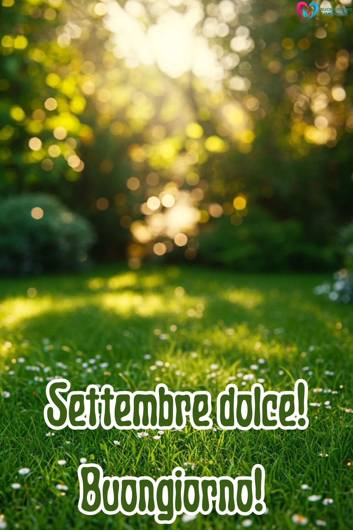prato verde soleggiato con margherite e bokeh alberi - buongiornoimmagine.it - settembre 2026