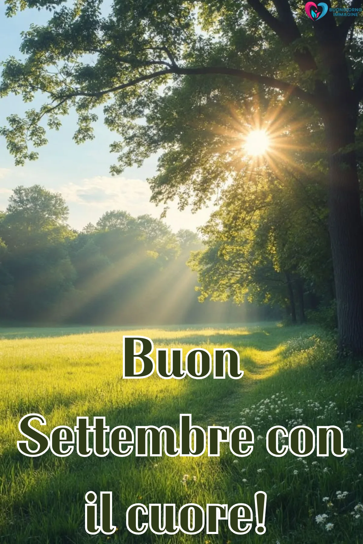 immagini settembre gratis per whatsapp - prato verde soleggiato con alberi e raggi - immagini nuove gratis per WhatsApp — buongiornoimmagine.it