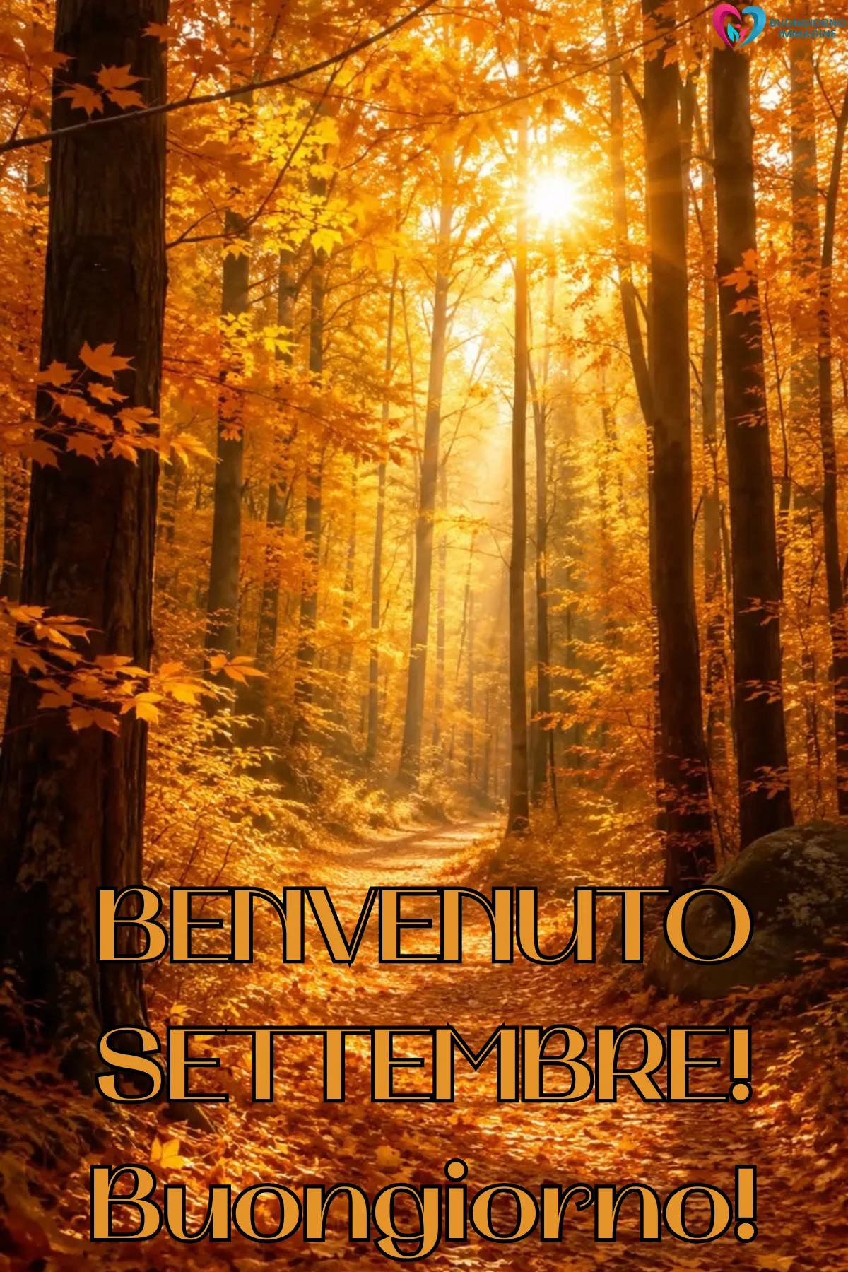 bosco autunnale dorato con raggi di sole al mattino - buongiornoimmagine.it - settembre 2026