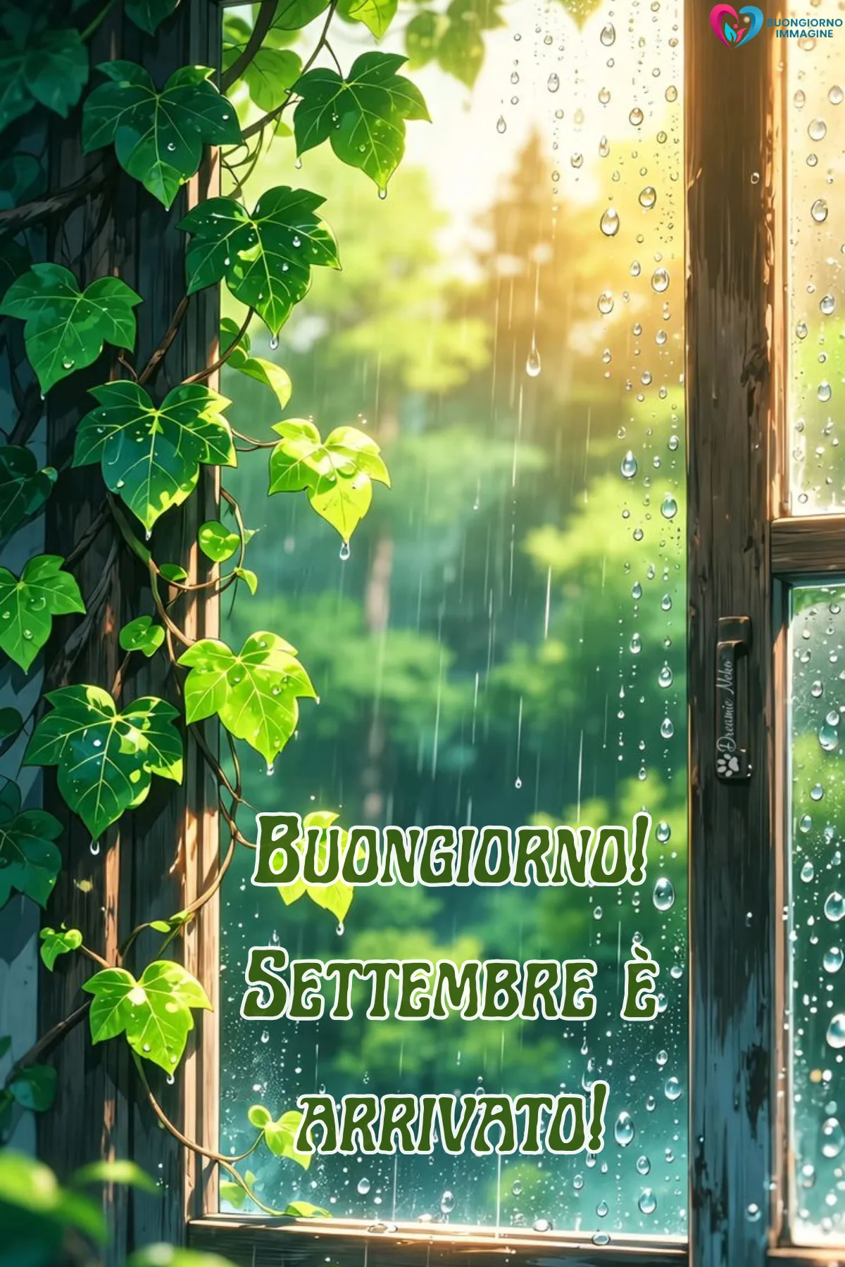 buongiorno settembre - finestra aperta con edera verde pioggia e sole - immagini nuove gratis per WhatsApp