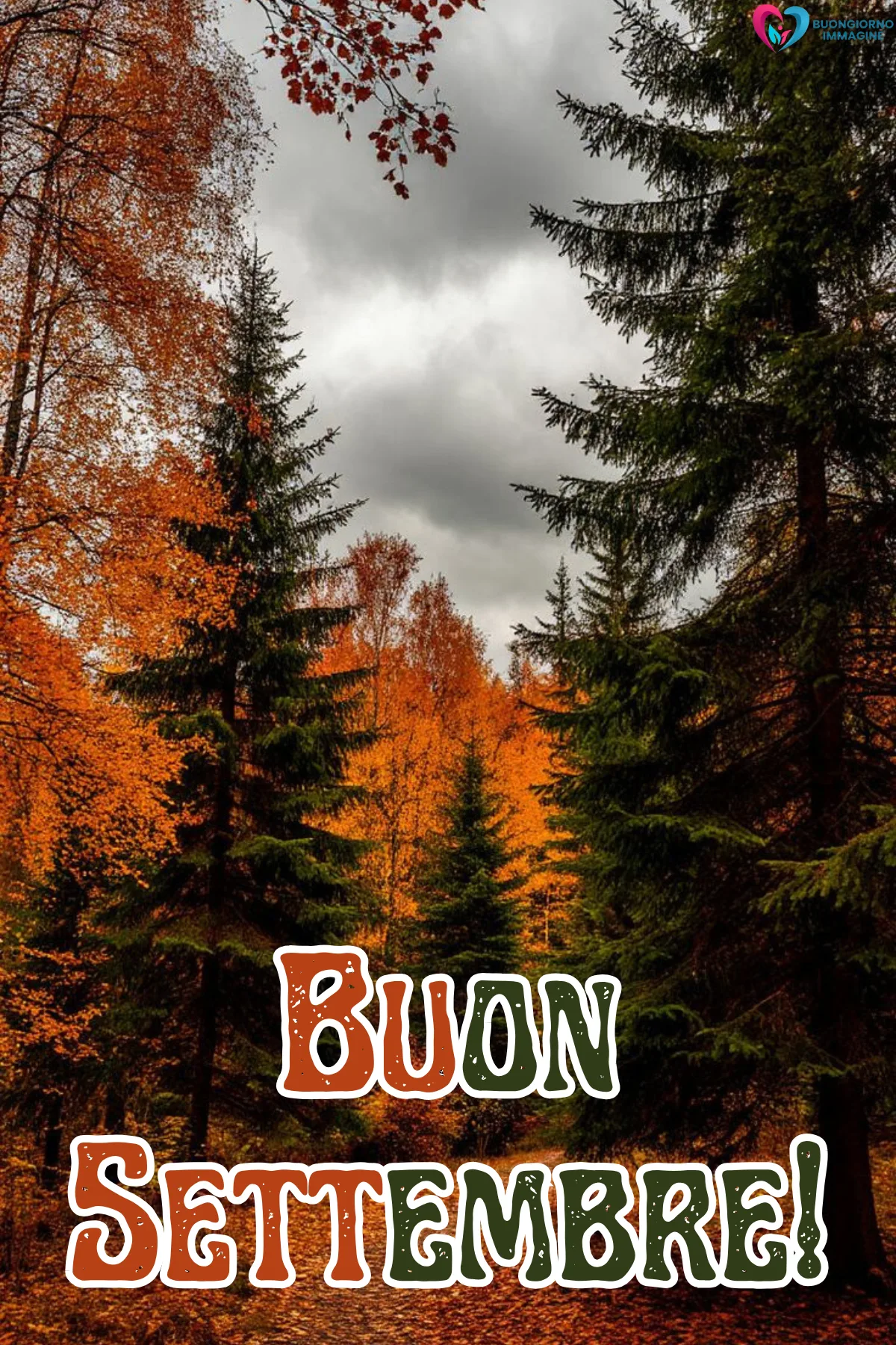 bosco autunnale colorato con alberi verdi e arancioni - buongiornoimmagine.it - settembre 2026