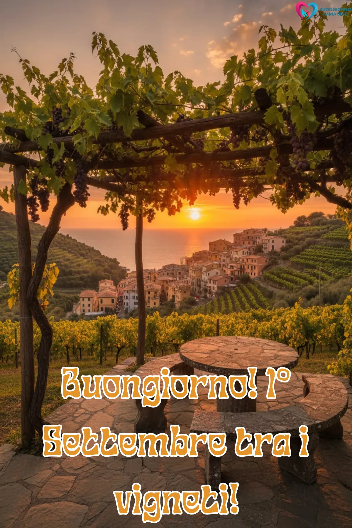 buon settembre - vigneto al tramonto con villaggio costiero italiano sullo sfondo - immagini nuove gratis per WhatsApp