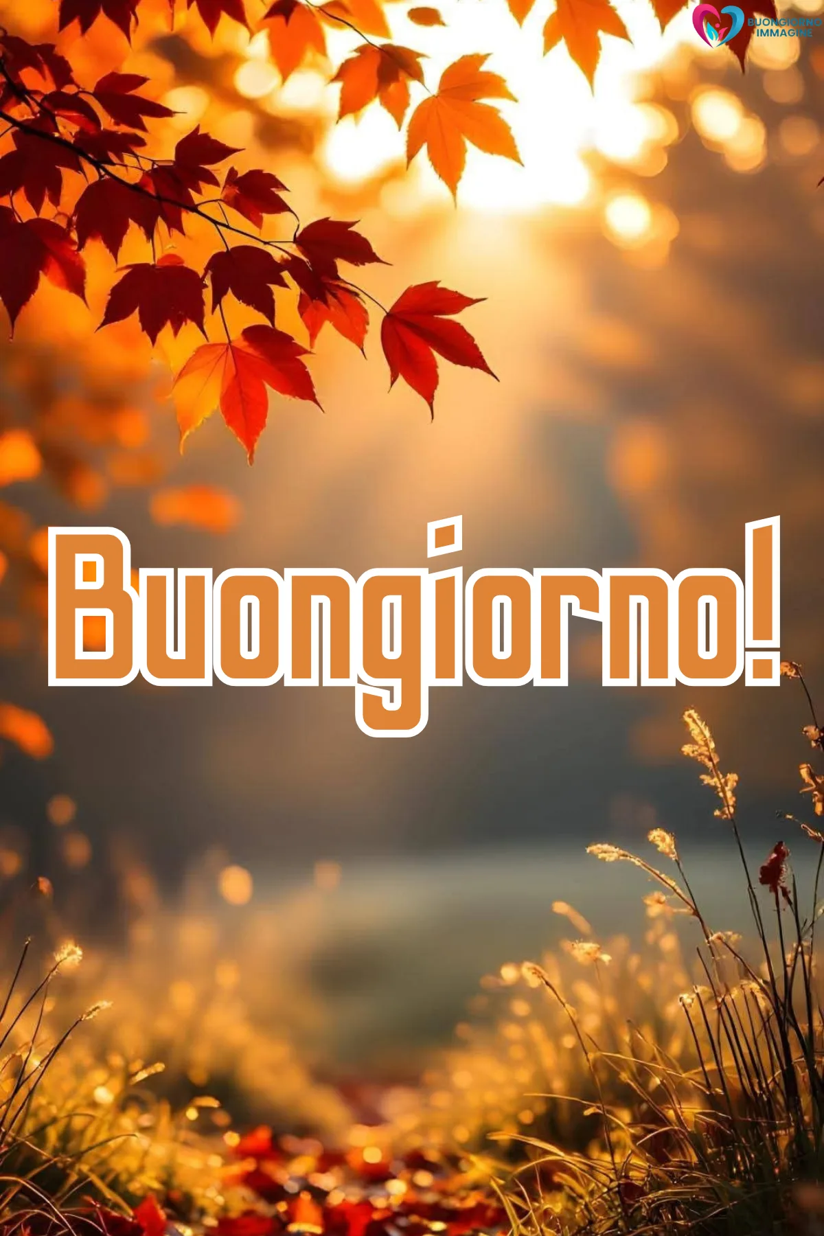 immagini buongiorno settembre - foglie rosse autunnali con sole dorato e scritta - immagini nuove gratis per WhatsApp