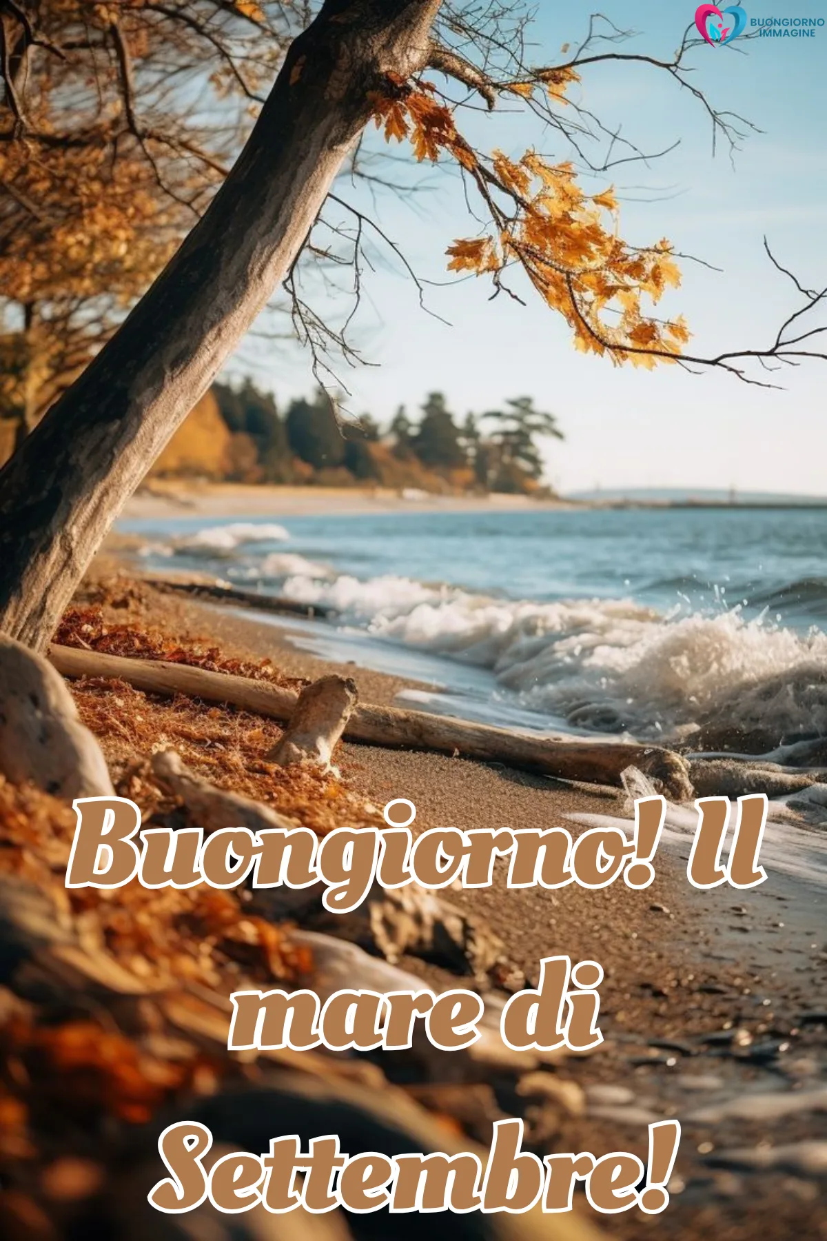 immagini settembre gratis per whatsapp - spiaggia autunnale con albero onde e foglie - immagini nuove gratis per WhatsApp