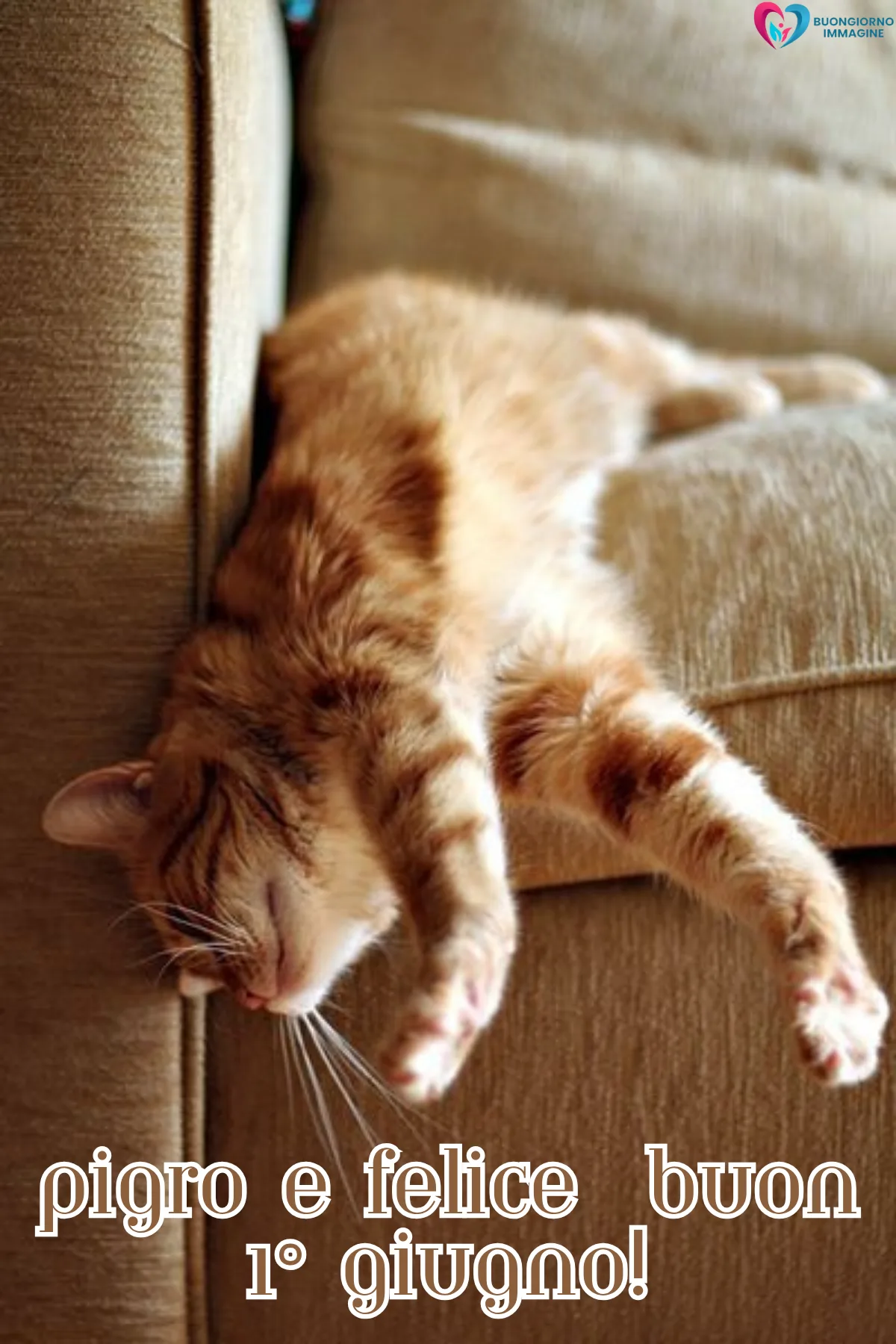 buongiorno buon primo giugno immagini con gatto assonnato e cuscini