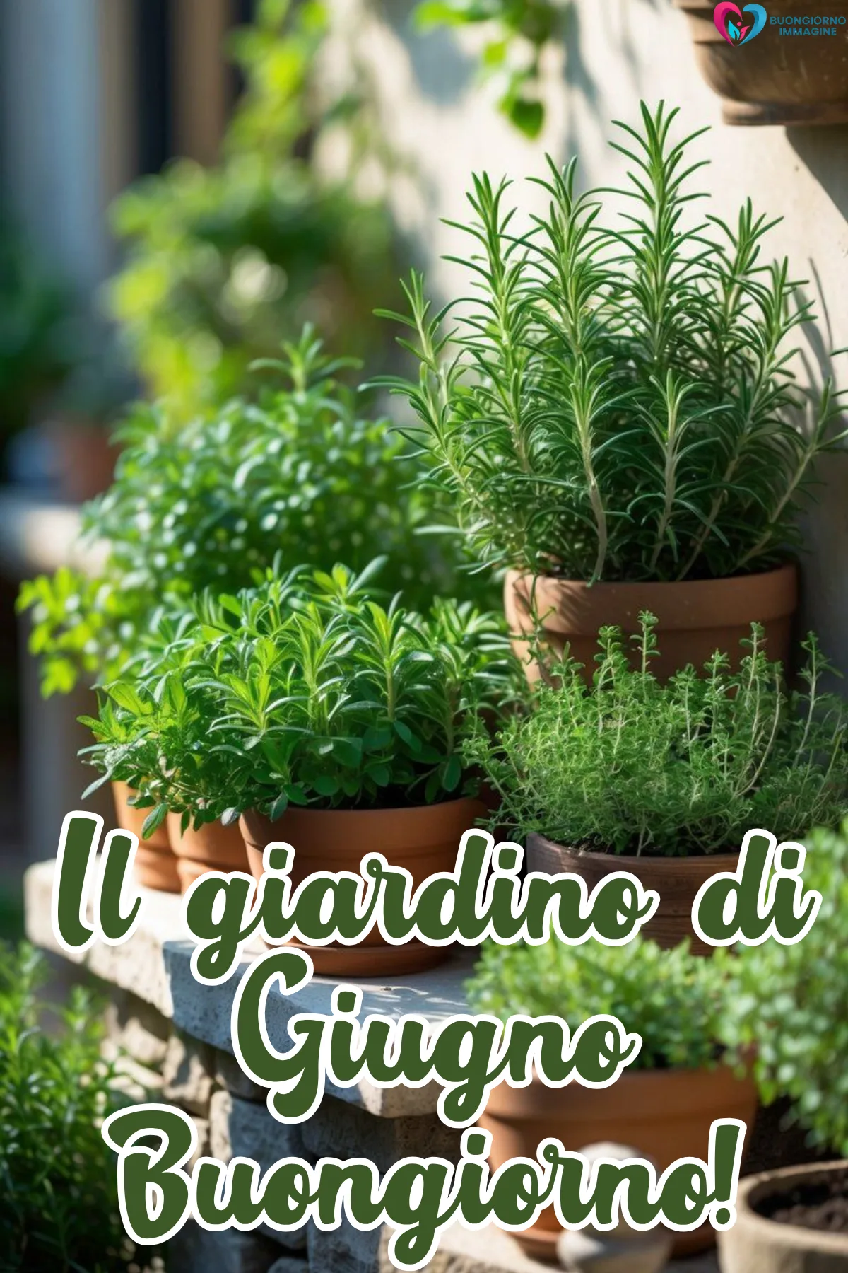 buongiorno buon primo giugno immagini con finestra aperta e luce calda