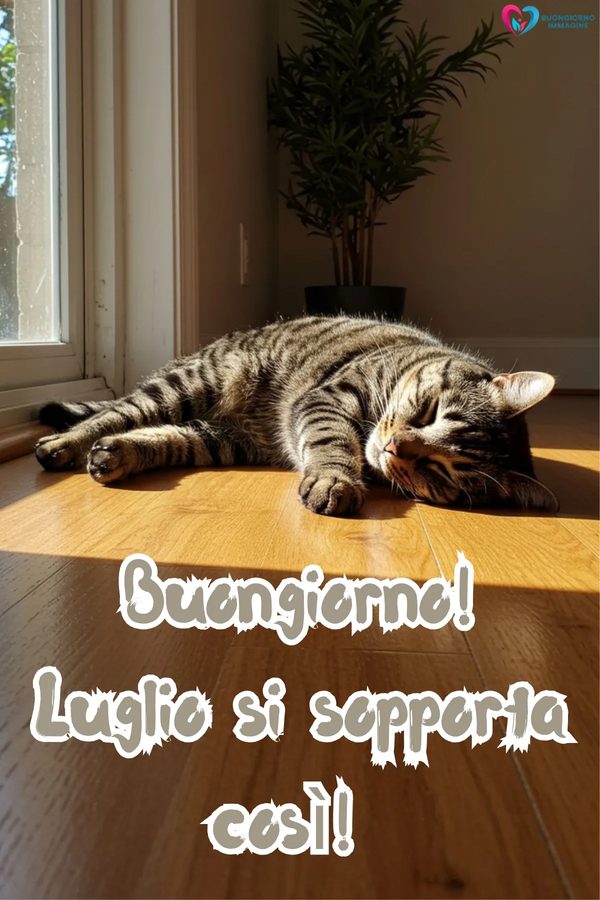 buongiorno luglio divertente - immagini simpatiche gratis per WhatsApp