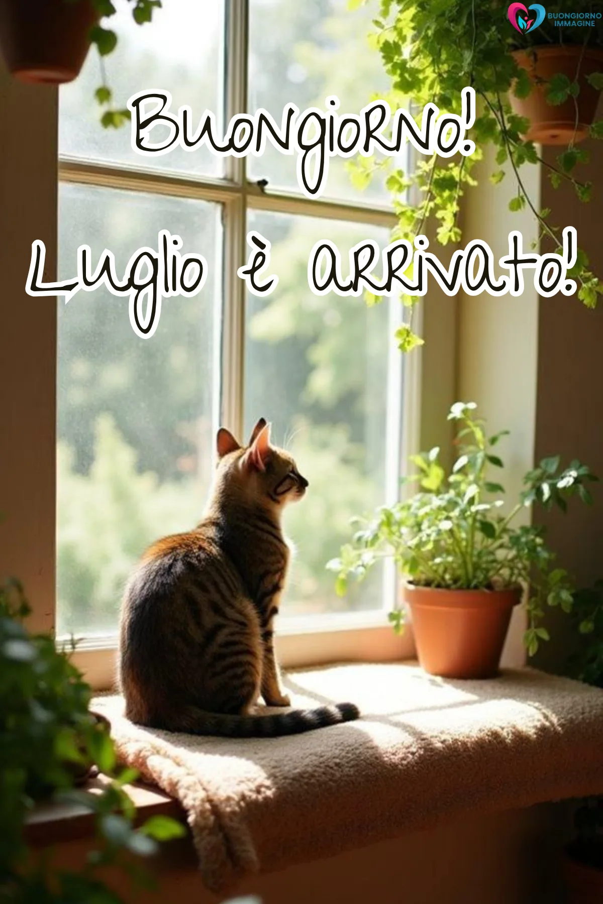 buongiorno luglio benvenuto - immagini buon 1 luglio gratis per WhatsApp