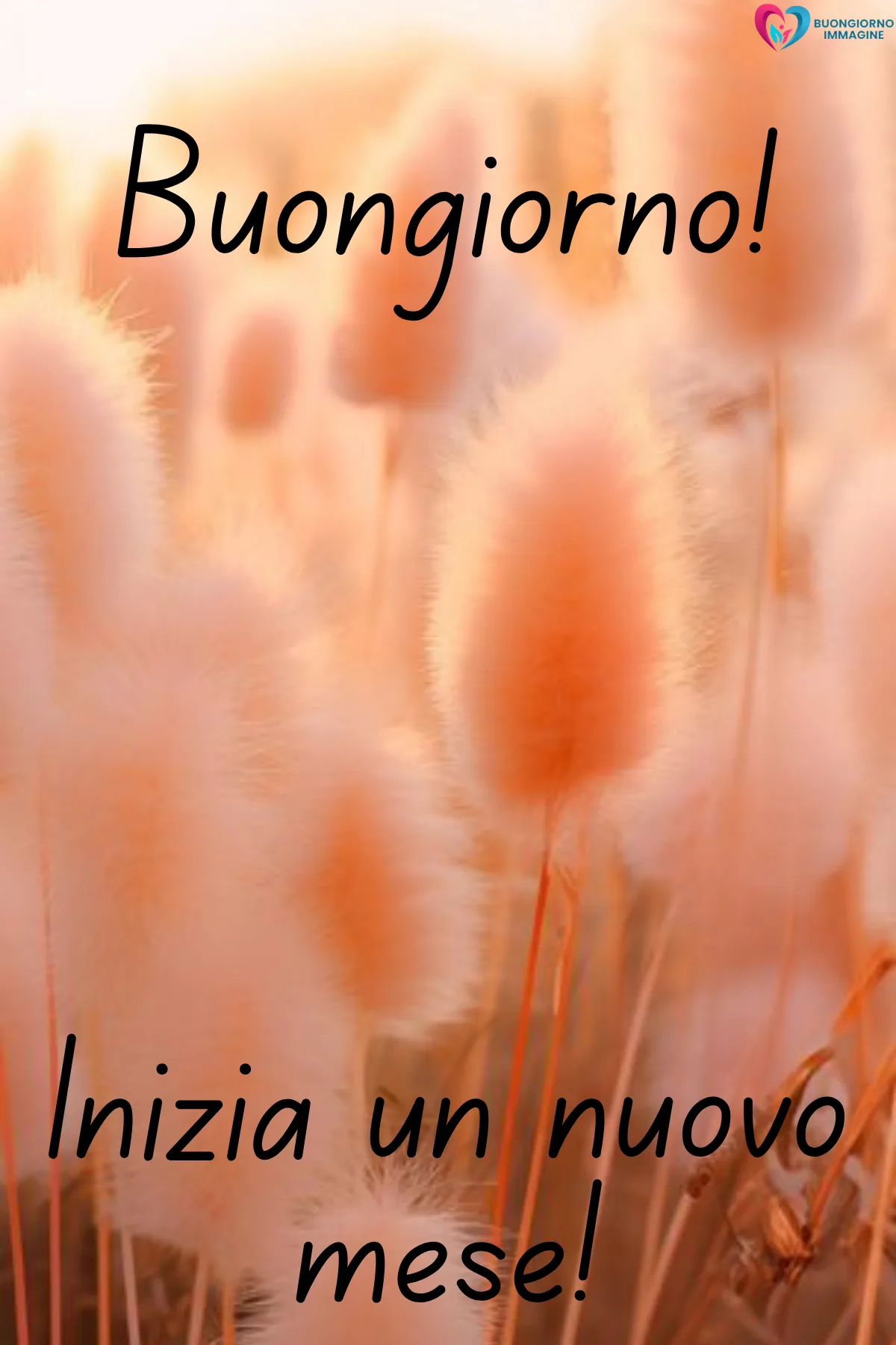buongiorno luglio benvenuto - immagini buon 1 luglio gratis per WhatsApp