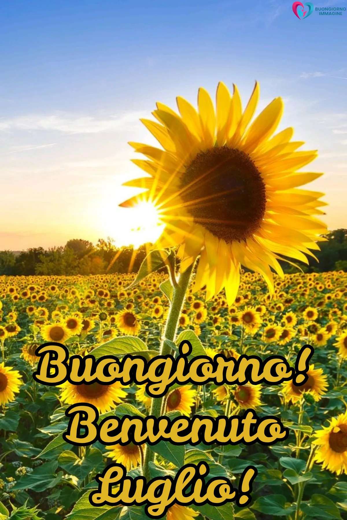 buongiorno luglio benvenuto - immagini buon 1 luglio gratis per WhatsApp