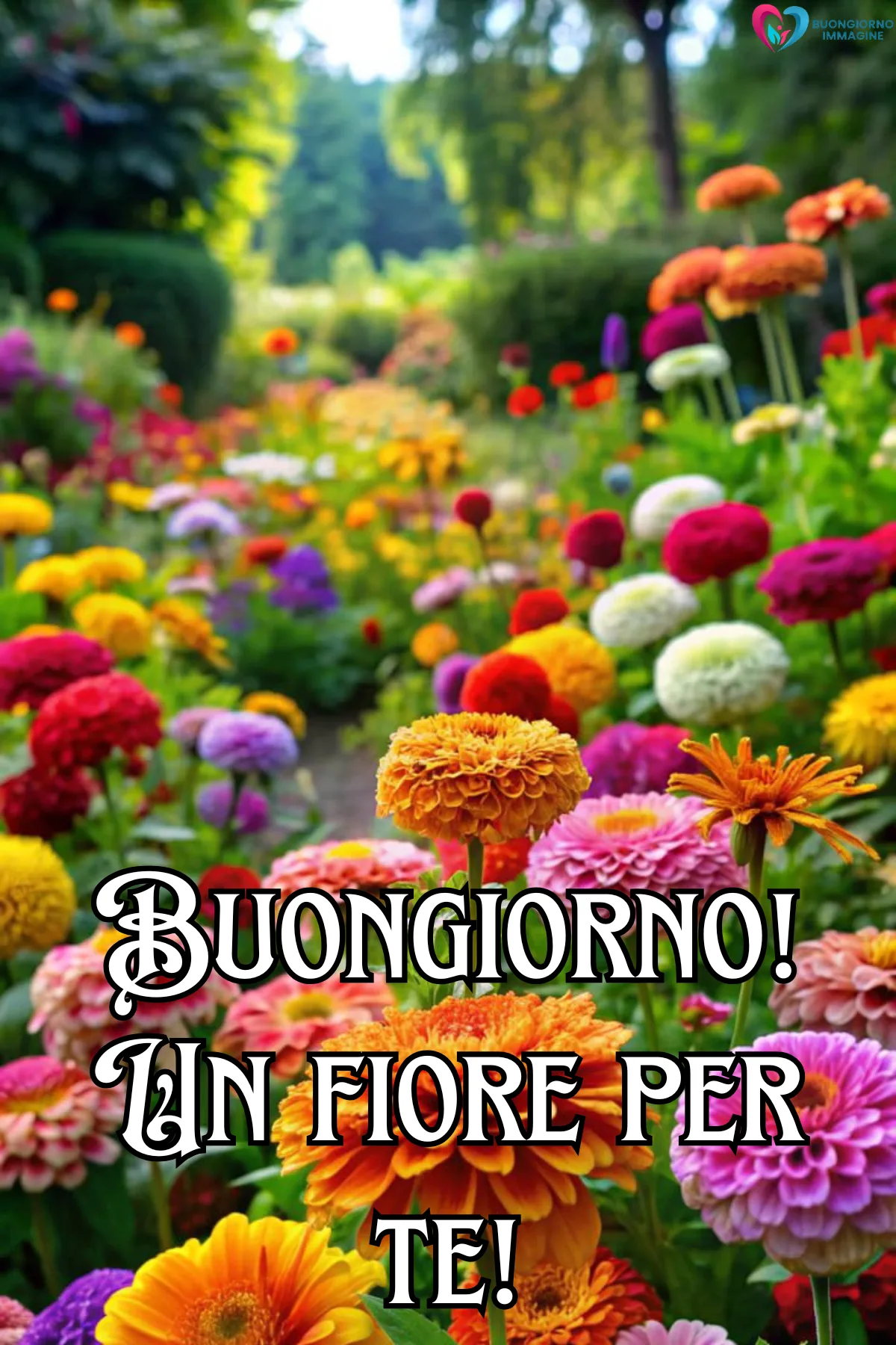 buongiorno luglio benvenuto - immagini buon 1 luglio gratis per WhatsApp