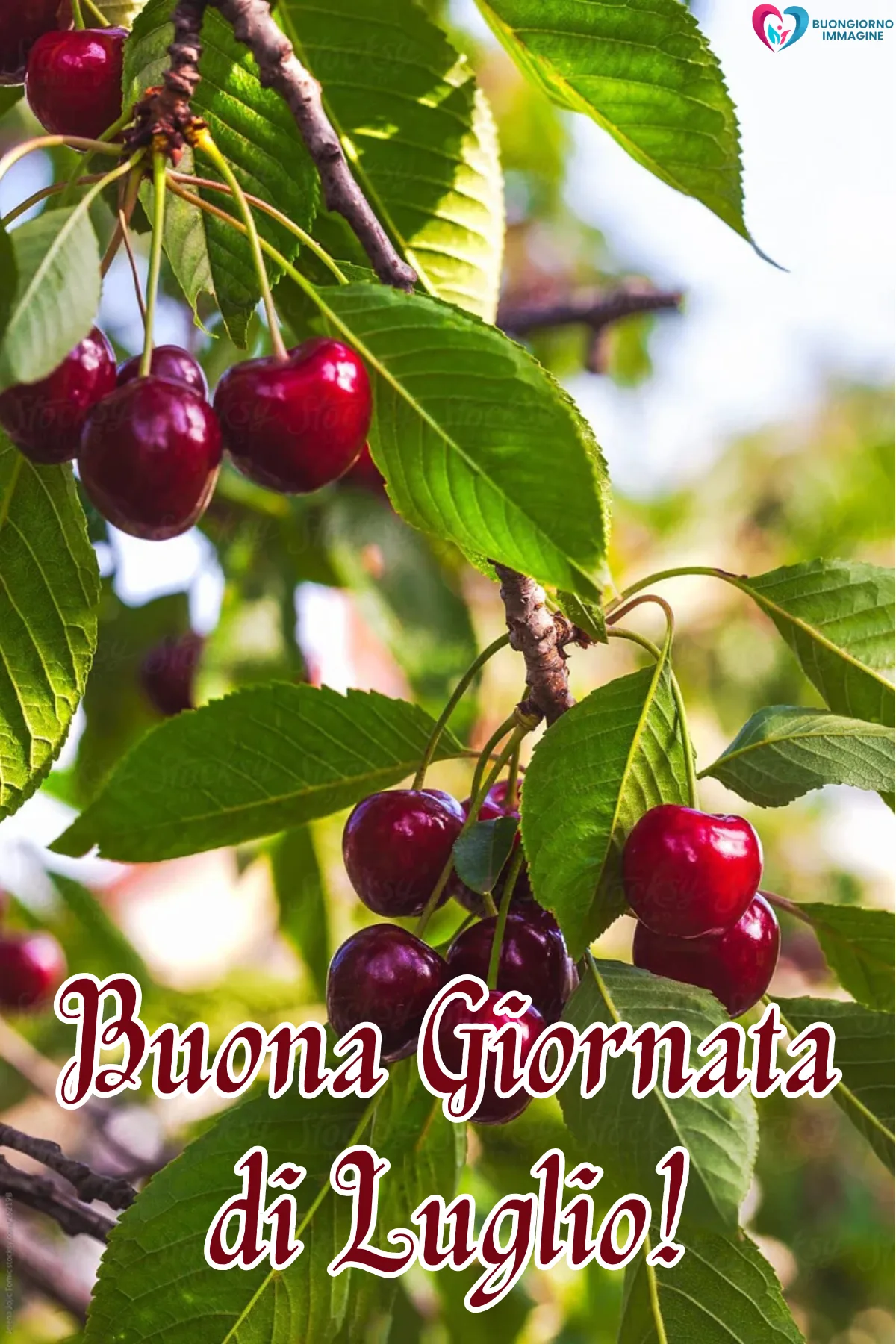 buongiorno luglio immagini nuove - immagini gratis per WhatsApp