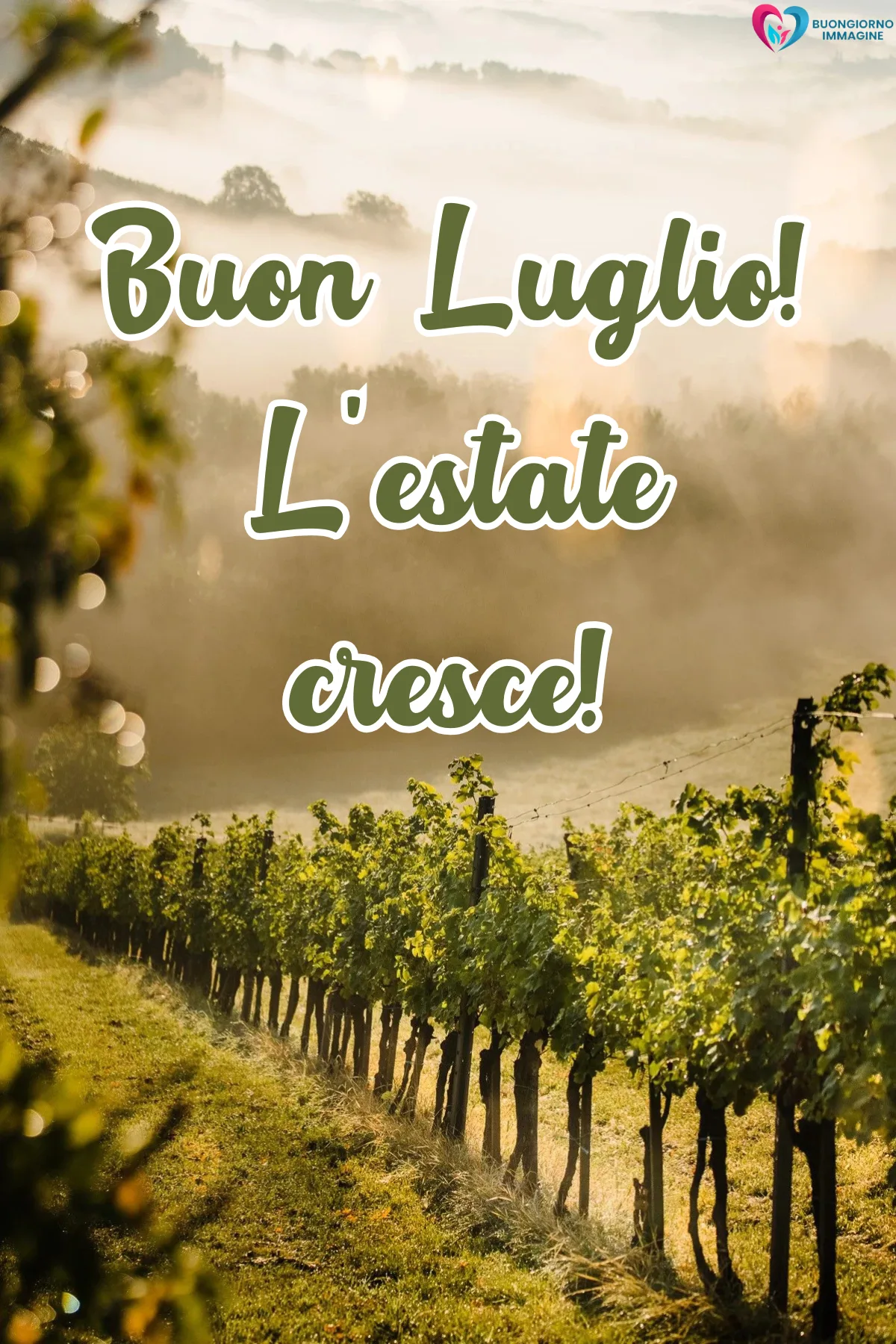 buongiorno luglio estate - immagini sole mare caldo gratis WhatsApp